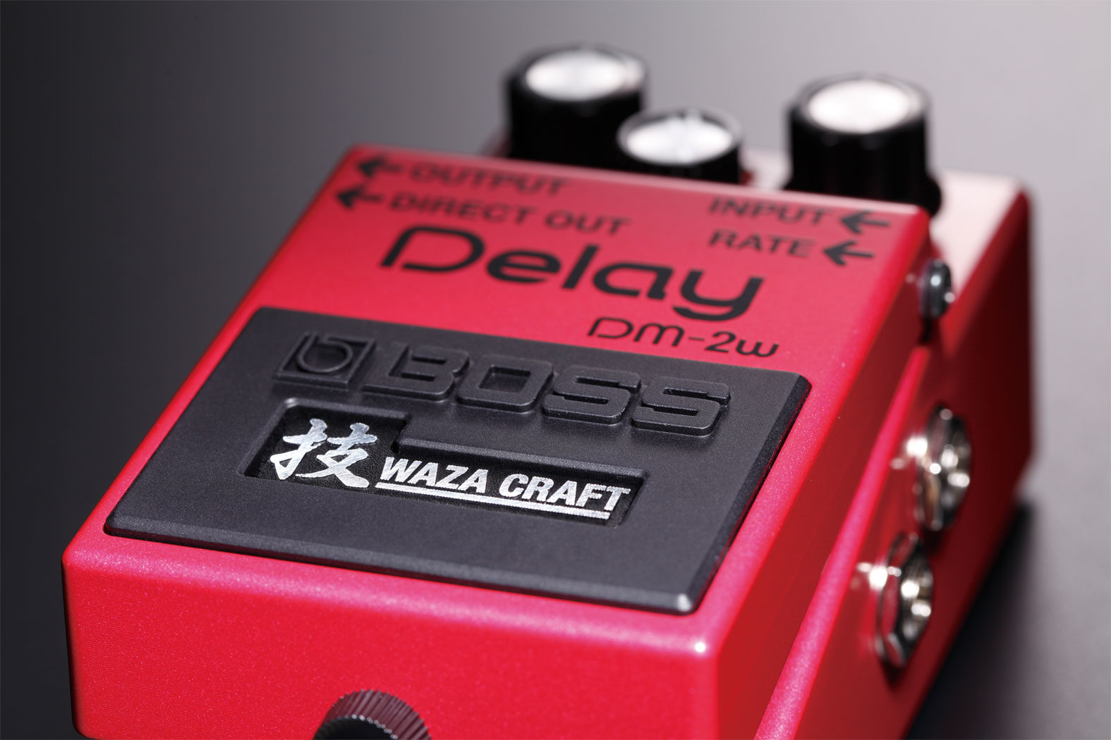 Boss DM-2w Waza Craft Special Edition Delay Pedal 4 Boss DM-2w Waza Craft Special Edition Delay Pedal