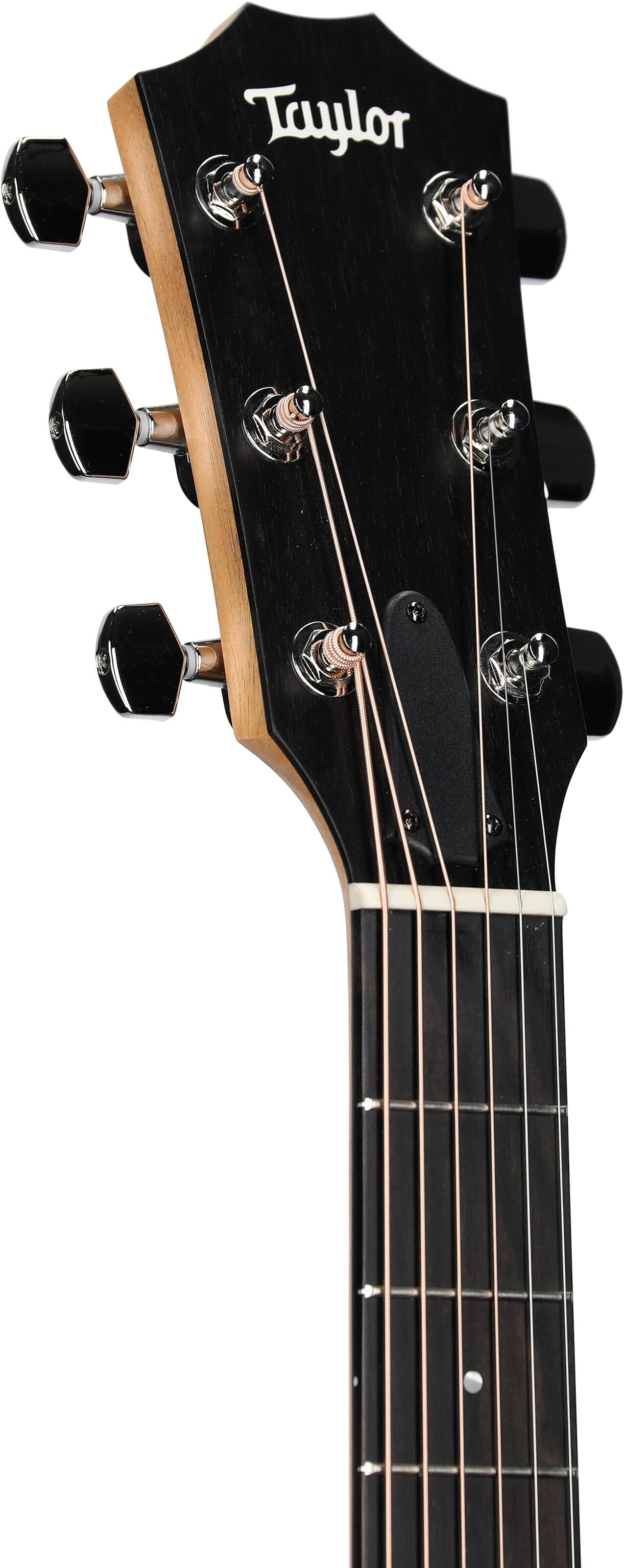 Taylor 214ce-v2 Plus Grand Auditorium Acoustic-Electric Guitar (with Aerocase) 4 Taylor 214ce-v2 Plus Grand Auditorium Acoustic-Electric Guitar (with Aerocase)