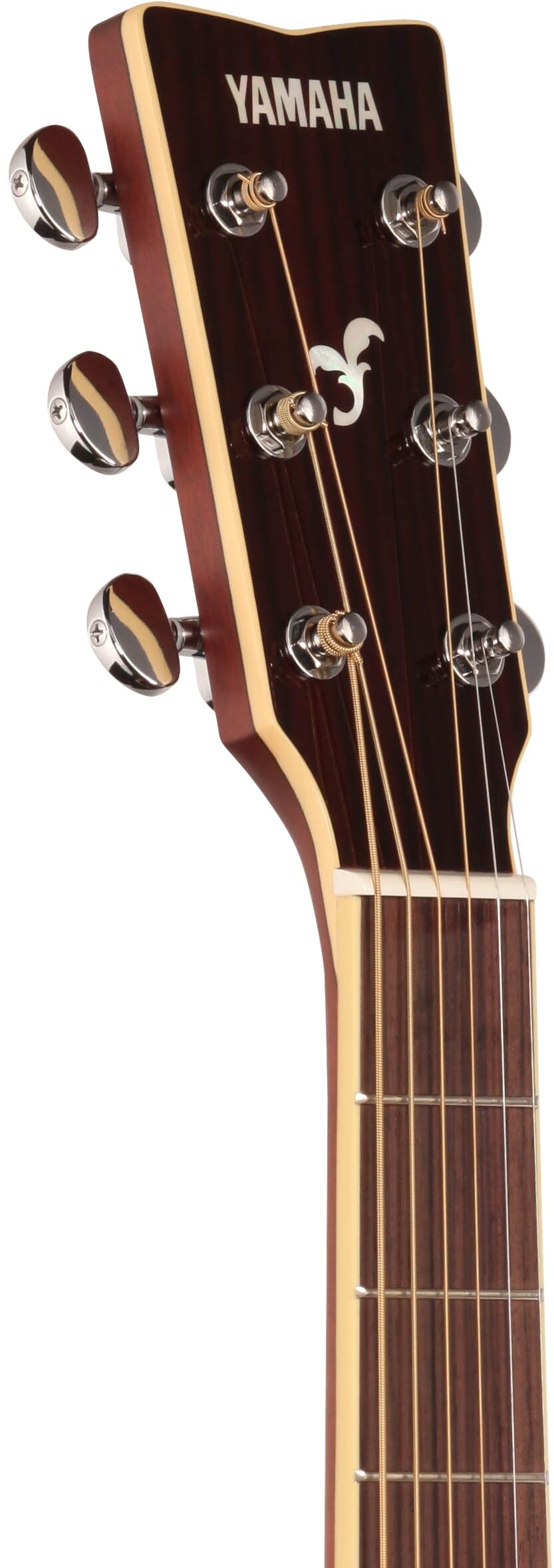 Yamaha FG830 Folk Acoustic Guitar 4 Yamaha FG830 Folk Acoustic Guitar