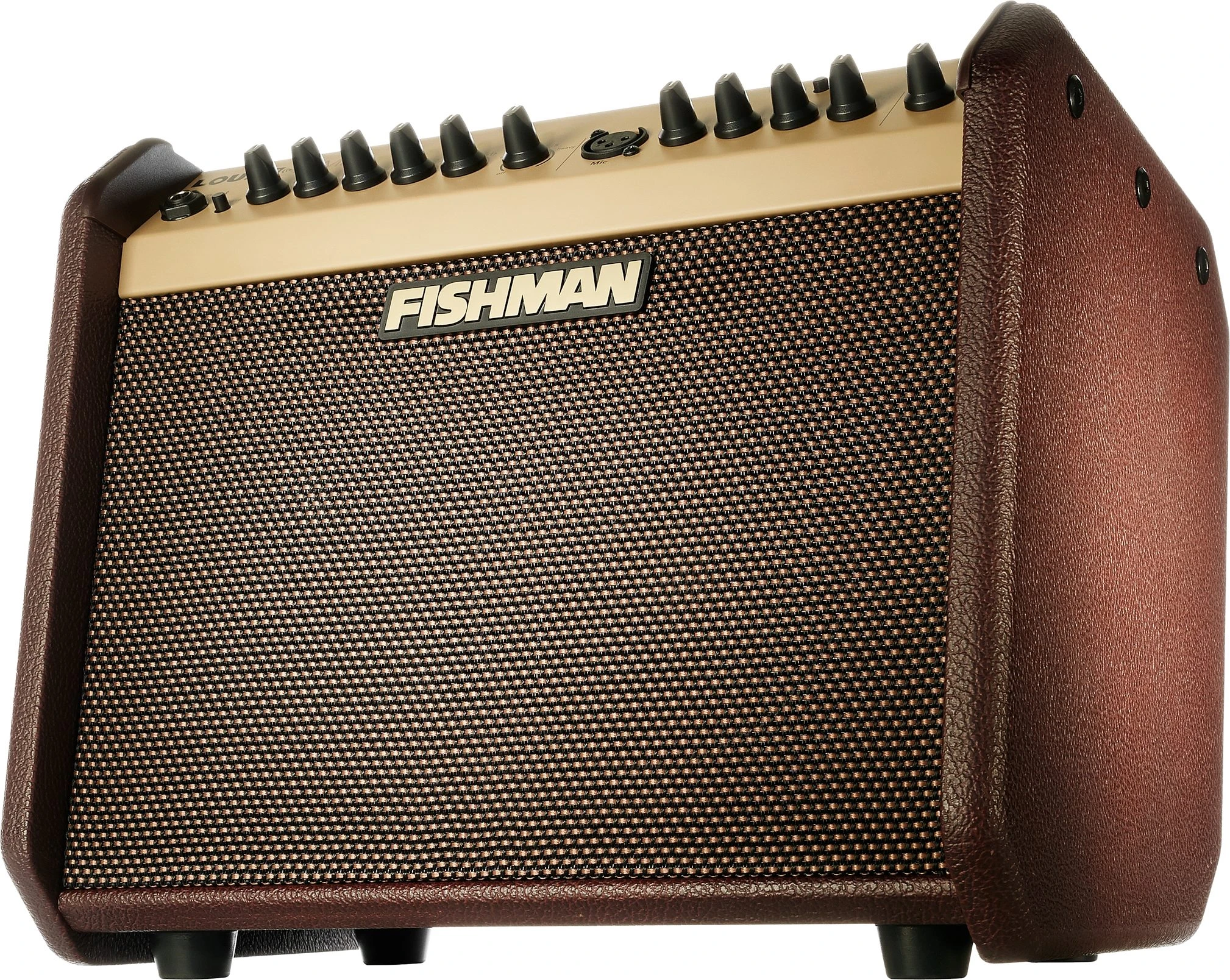 Fishman Loudbox Mini Acoustic Guitar Combo Amplifier with Bluetooth (60 Watts) 2 Fishman Loudbox Mini Acoustic Guitar Combo Amplifier with Bluetooth (60 Watts)