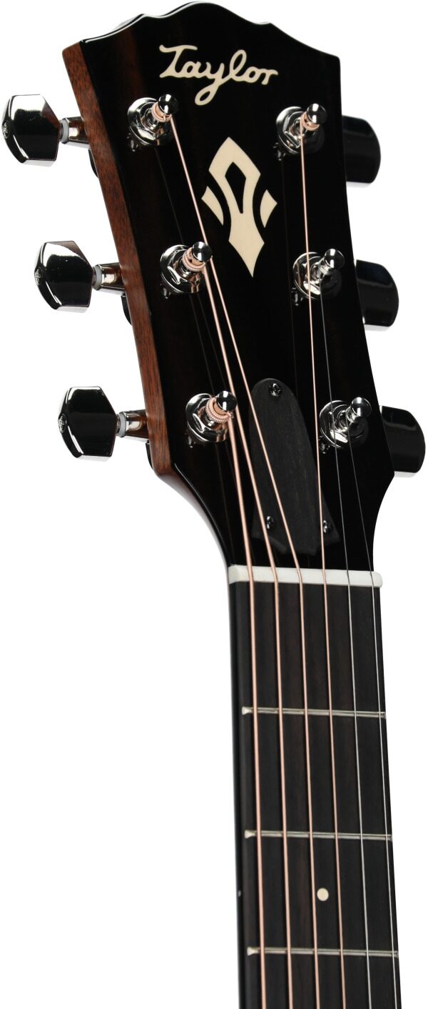 Taylor Gold Label 517e Acoustic-Electric Guitar 4 Taylor Gold Label 517e Acoustic-Electric Guitar