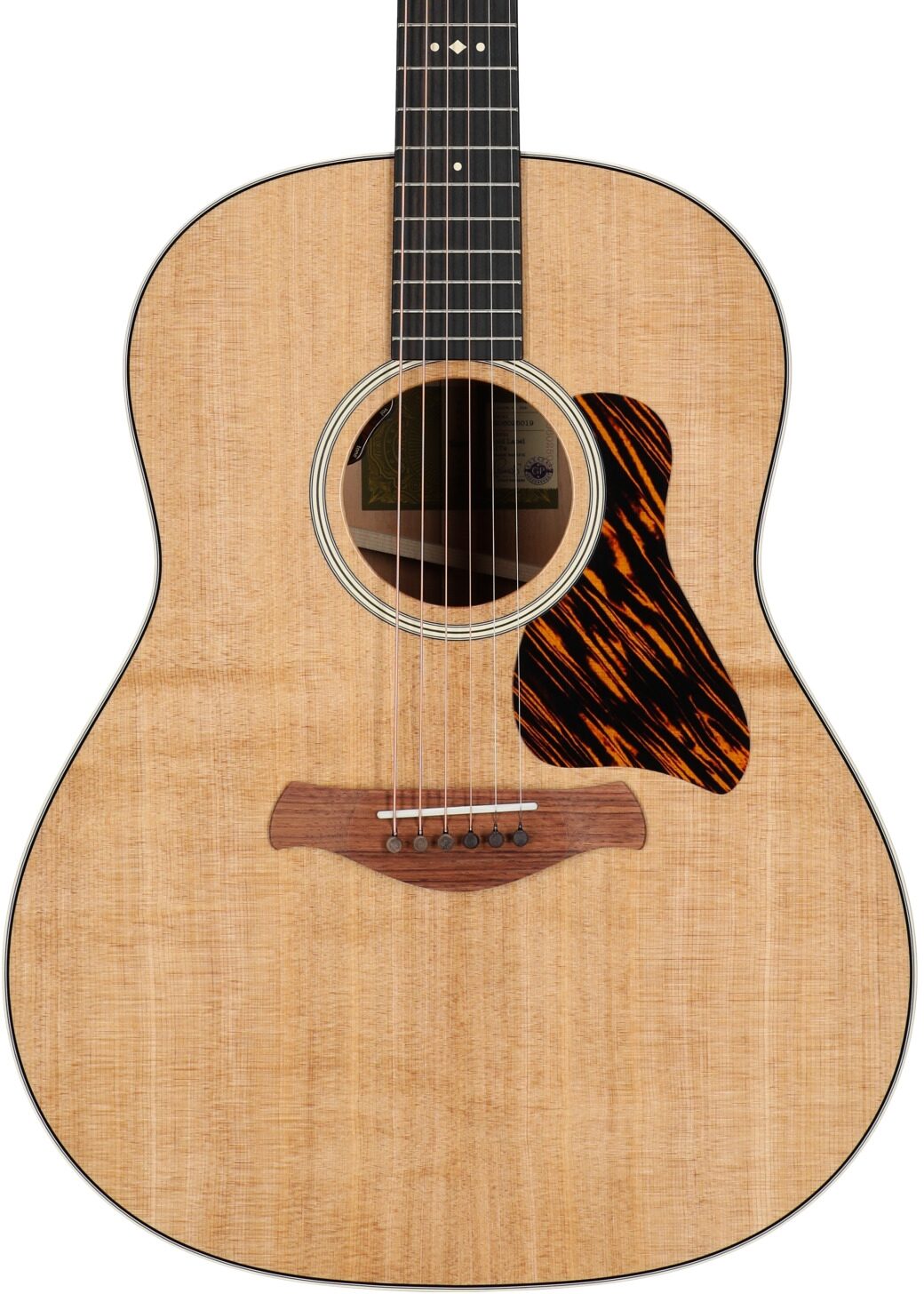 Taylor Gold Label 517e Acoustic-Electric Guitar 5 Taylor Gold Label 517e Acoustic-Electric Guitar