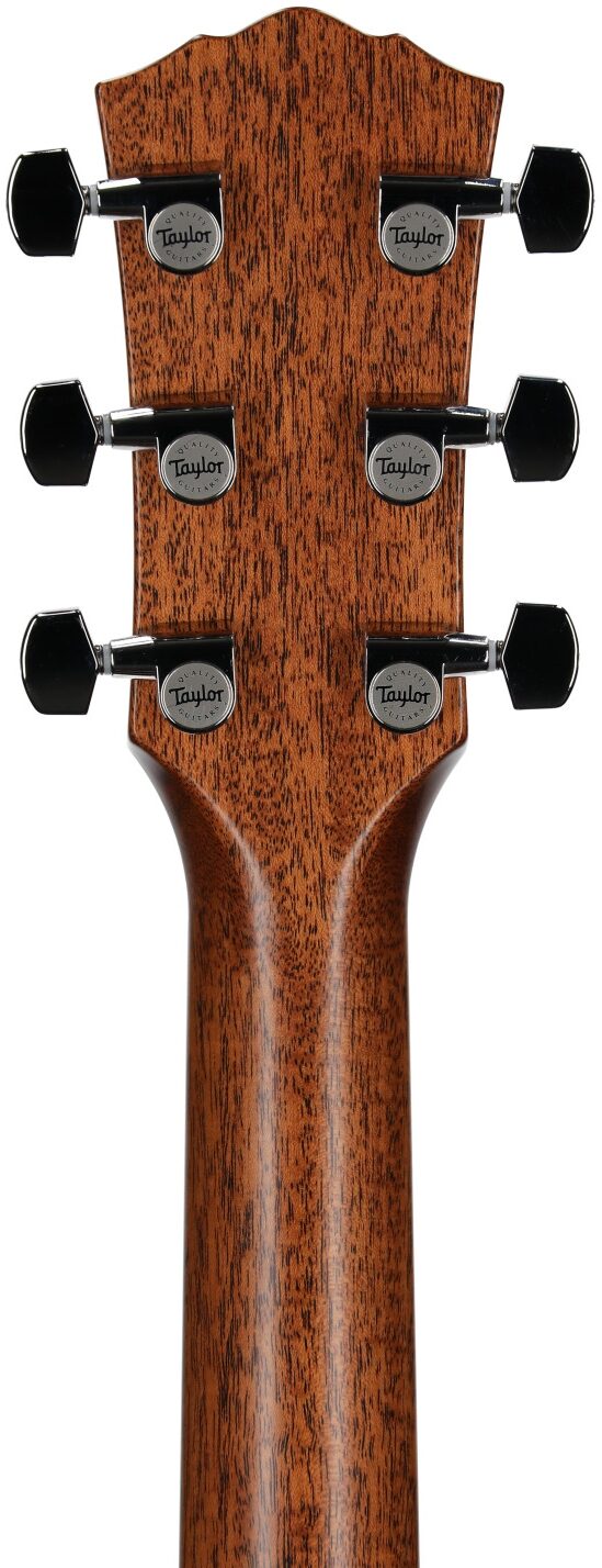 Taylor Gold Label 517e Acoustic-Electric Guitar 8 Taylor Gold Label 517e Acoustic-Electric Guitar