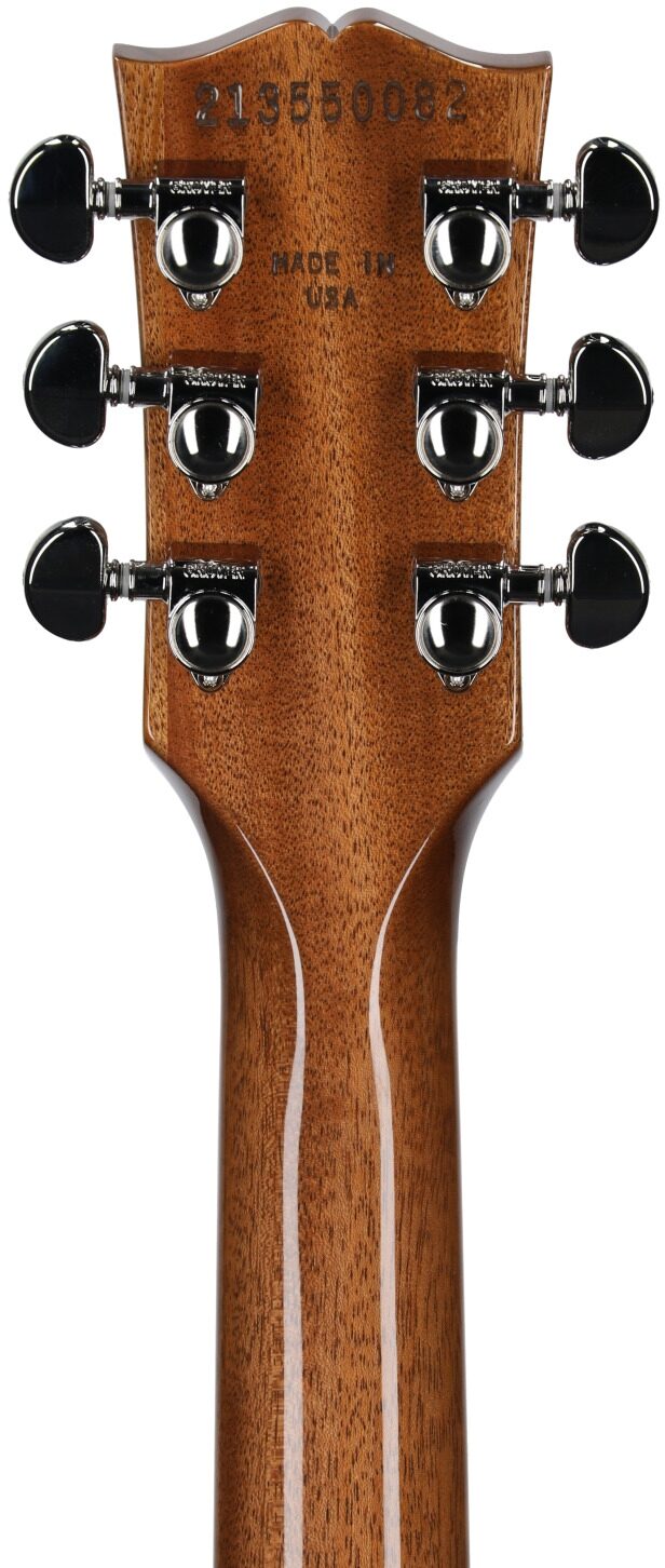 Gibson Limited Edition Les Paul Standard '60s Double Trouble Electric Guitar 8 Gibson Limited Edition Les Paul Standard '60s Double Trouble Electric Guitar