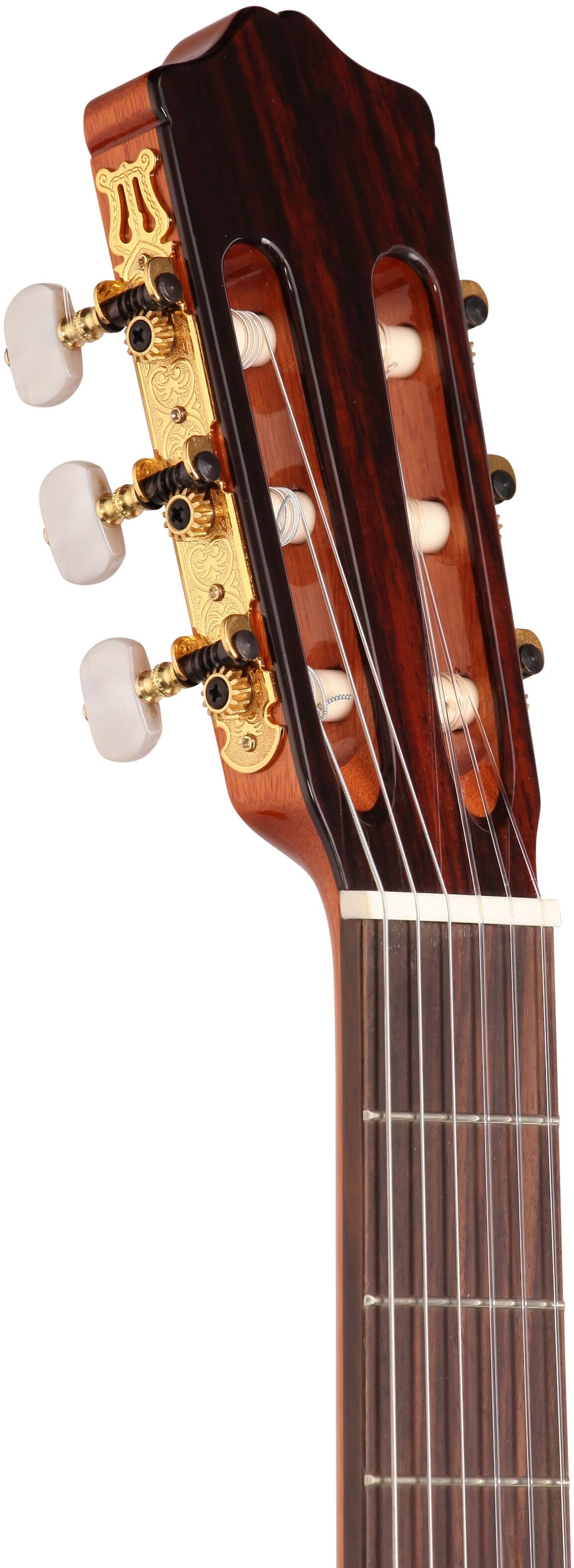 Cordoba C5 Classical Acoustic Guitar 4 Cordoba C5 Classical Acoustic Guitar