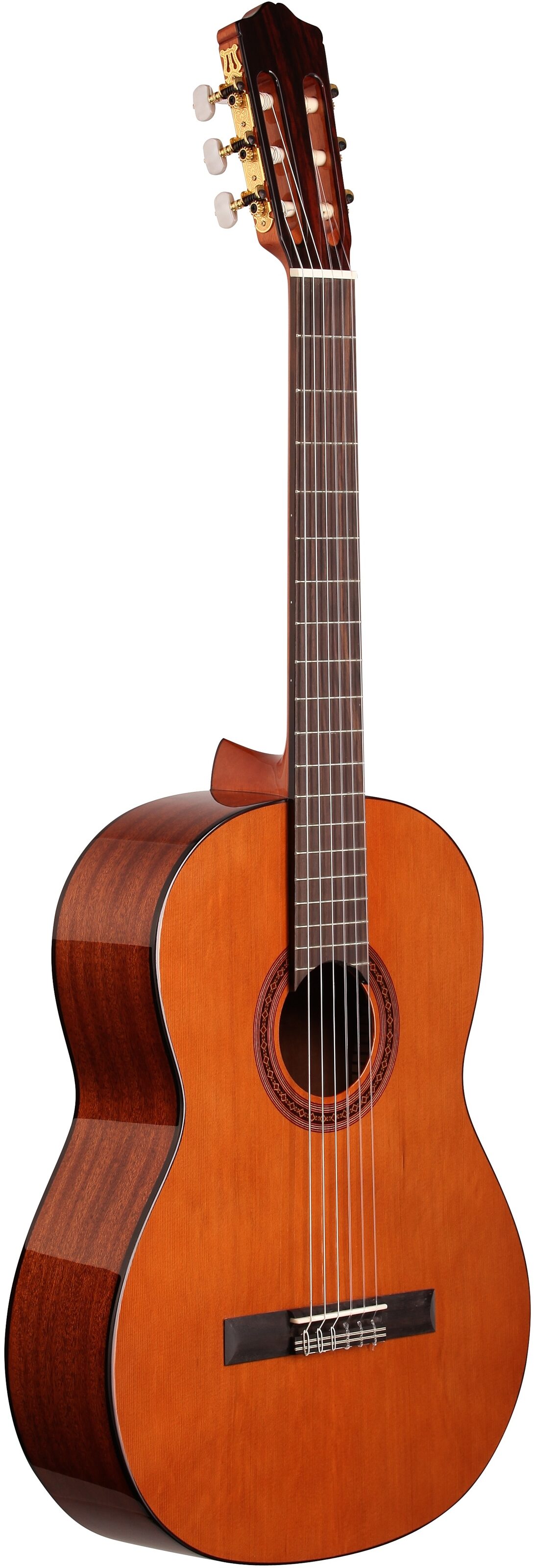 Cordoba C5 Classical Acoustic Guitar 6 Cordoba C5 Classical Acoustic Guitar