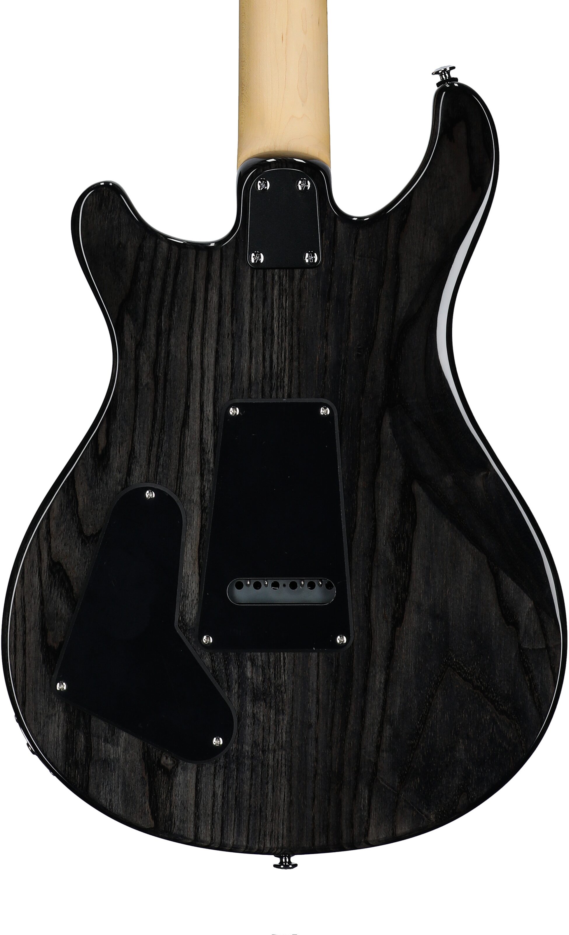 PRS Paul Reed Smith SE Swamp Ash Special Electric Guitar (with Gig Bag) 7 PRS Paul Reed Smith SE Swamp Ash Special Electric Guitar (with Gig Bag)