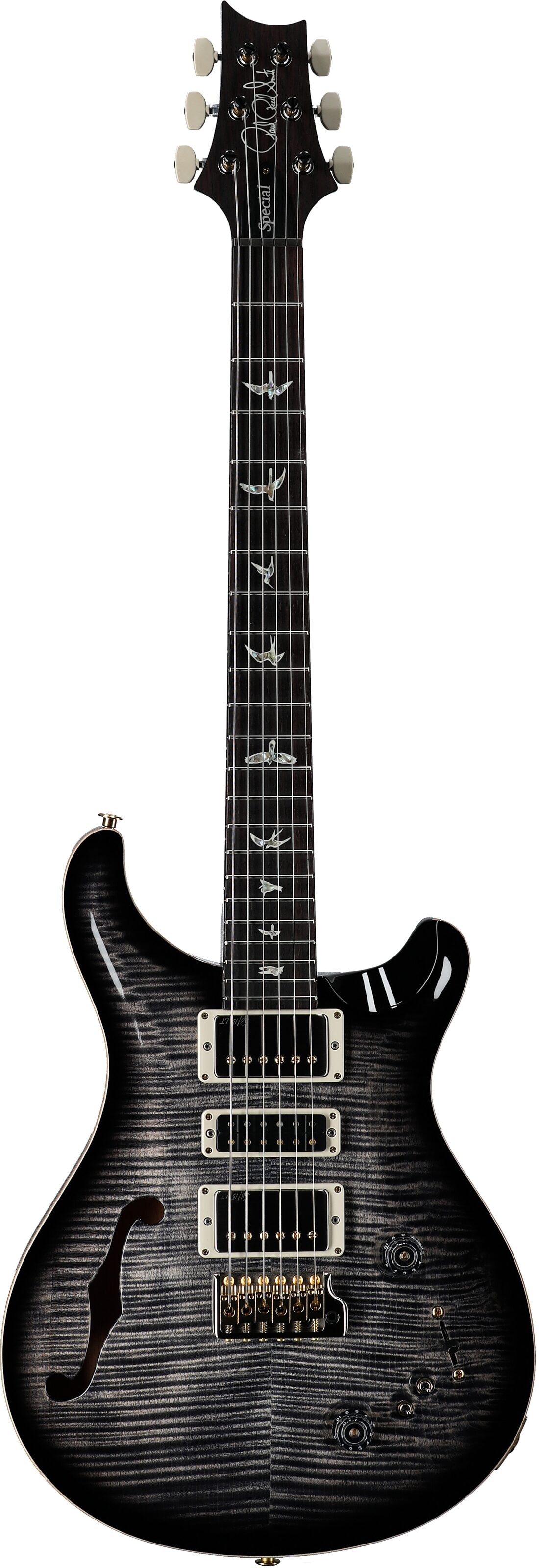 PRS Paul Reed Smith Special Semi-Hollow LTD 10-Top Electric Guitar (with Case) 2 PRS Paul Reed Smith Special Semi-Hollow LTD 10-Top Electric Guitar (with Case)