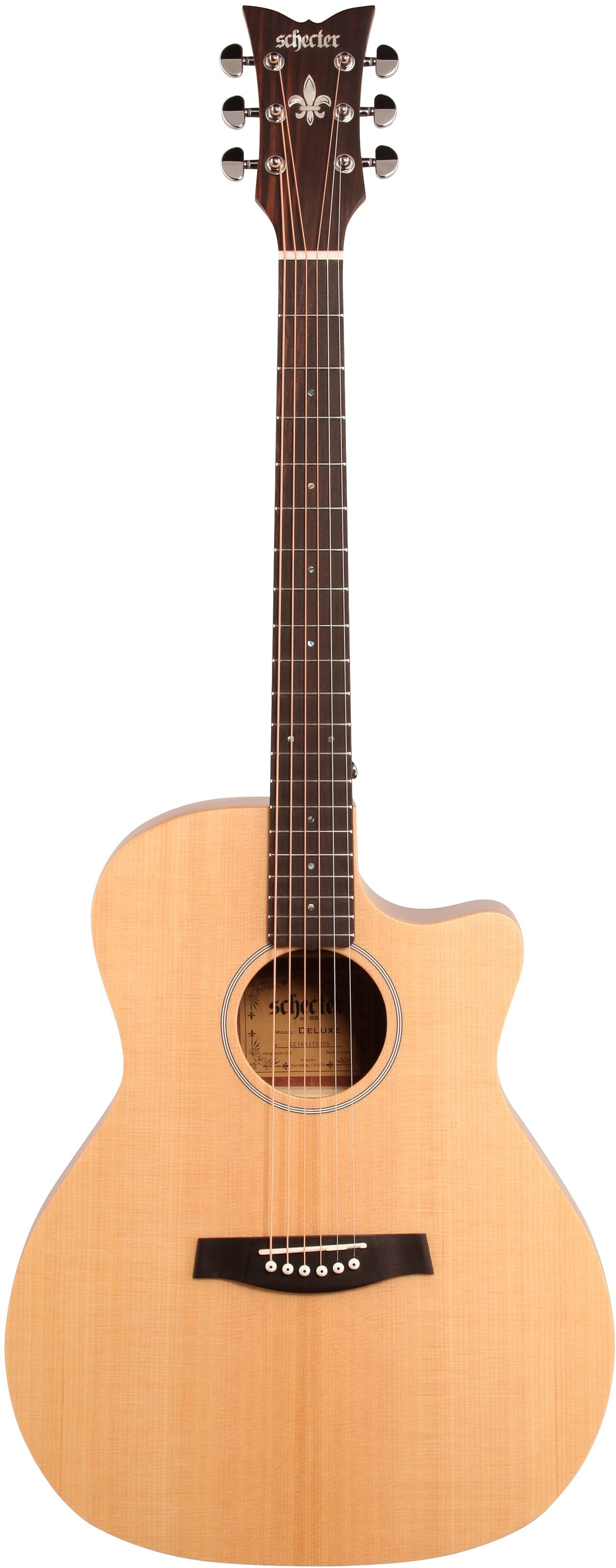 Schecter Deluxe Acoustic Guitar 2 Schecter Deluxe Acoustic Guitar
