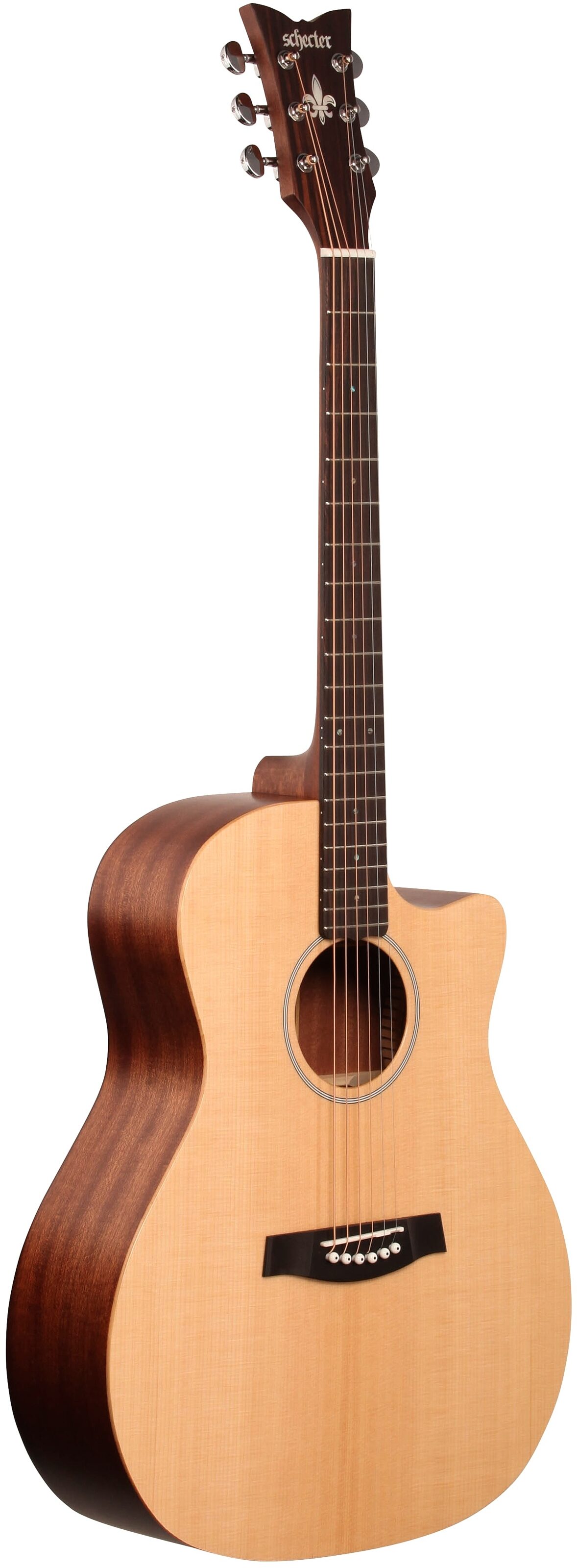 Schecter Deluxe Acoustic Guitar 6 Schecter Deluxe Acoustic Guitar