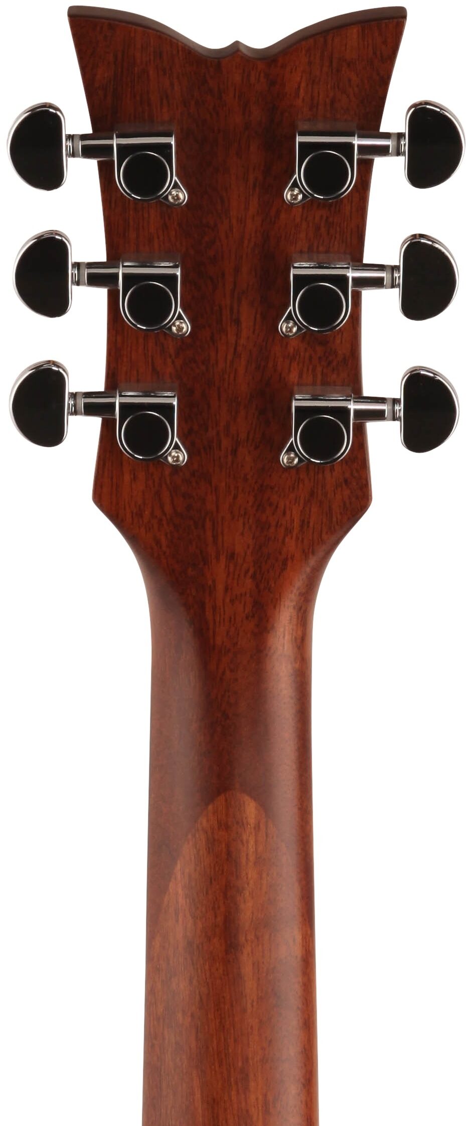 Schecter Deluxe Acoustic Guitar 8 Schecter Deluxe Acoustic Guitar