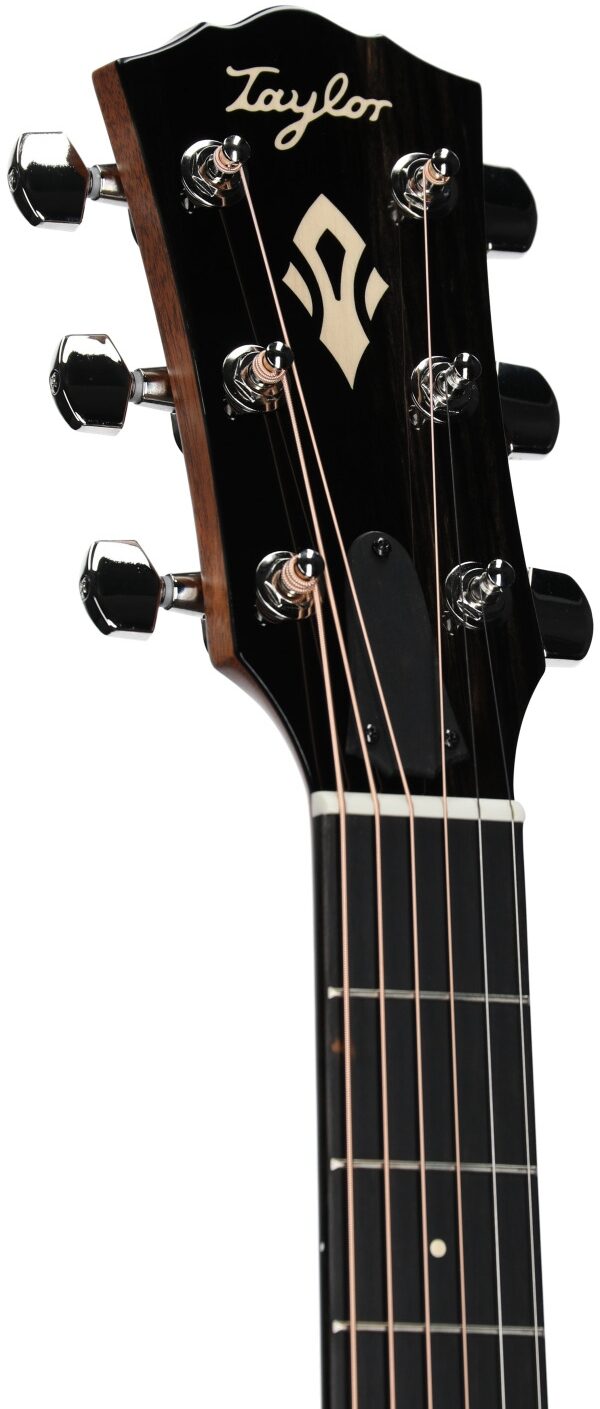 Taylor Gold Label 717e Acoustic-Electric Guitar 4 Taylor Gold Label 717e Acoustic-Electric Guitar