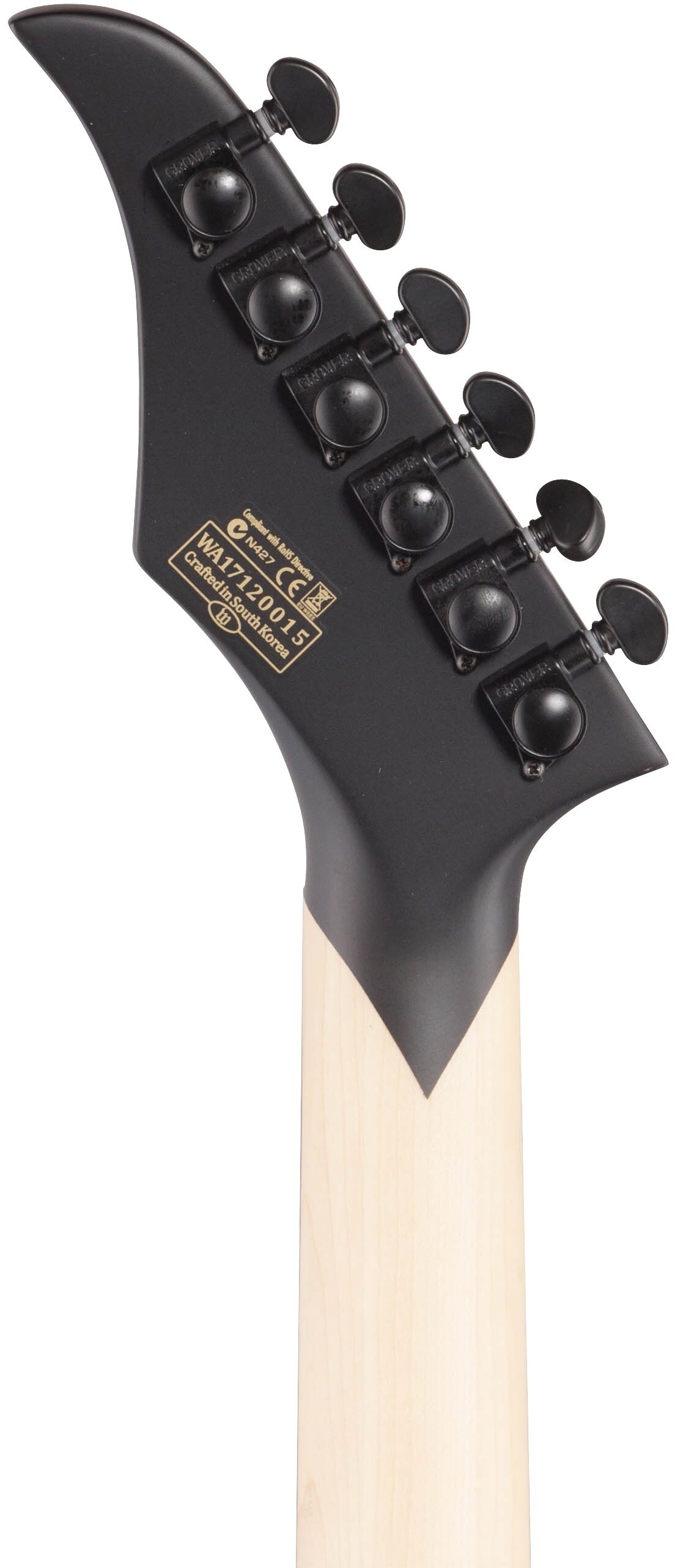 Wylde Audio Blood Eagle Mahogany Blackout Electric Guitar 8 Wylde Audio Blood Eagle Mahogany Blackout Electric Guitar