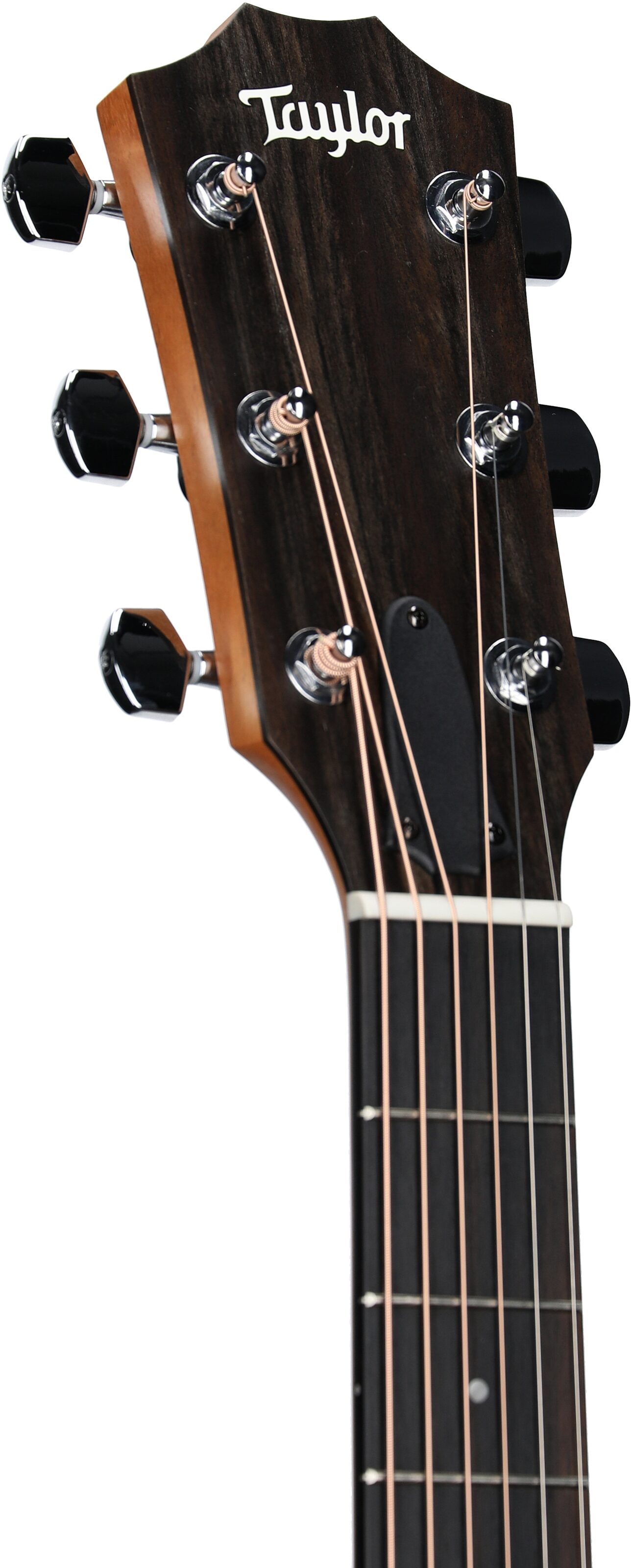 Taylor 212ce-v2 Grand Concert Acoustic-Electric Guitar (with Gig Bag) 4 Taylor 212ce-v2 Grand Concert Acoustic-Electric Guitar (with Gig Bag)