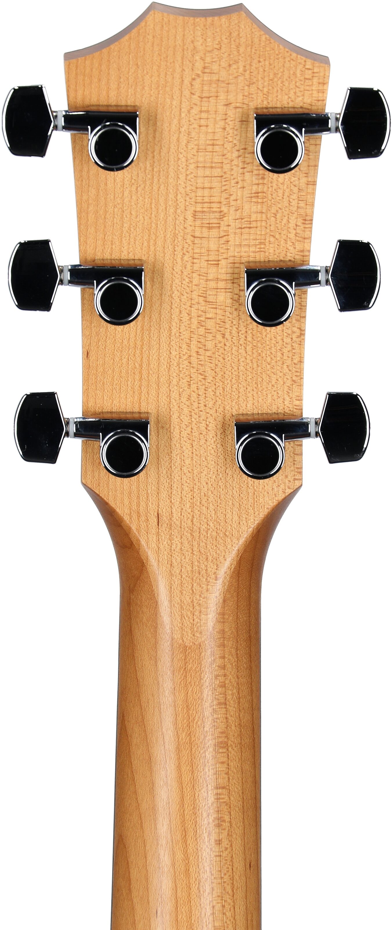 Taylor 117e Grand Pacific Acoustic-Electric Guitar (with Gig Bag) 8 Taylor 117e Grand Pacific Acoustic-Electric Guitar (with Gig Bag)