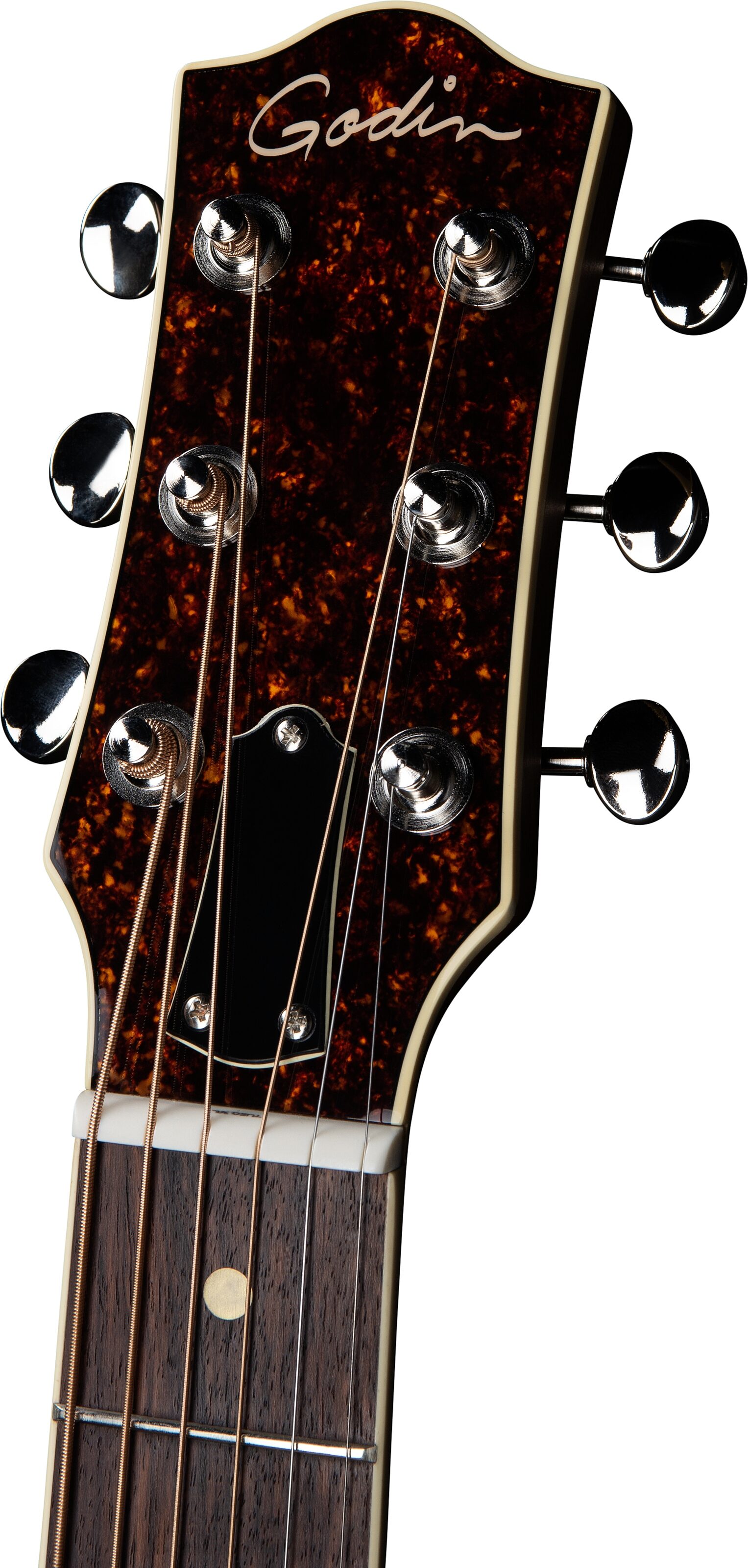Godin Rialto Acoustic-Electric Guitar (with Gig Bag) 8 Godin Rialto Acoustic-Electric Guitar (with Gig Bag)