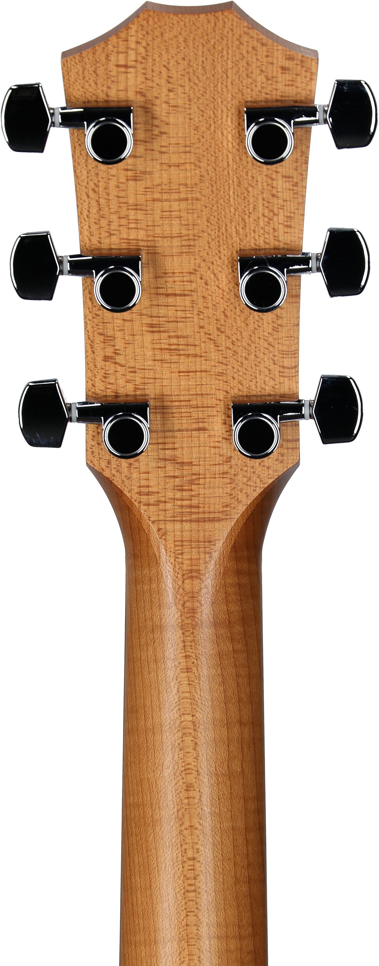 Taylor Academy 22e Grand Concert Acoustic-Electric Guitar (with Gig Bag) 8 Taylor Academy 22e Grand Concert Acoustic-Electric Guitar (with Gig Bag)