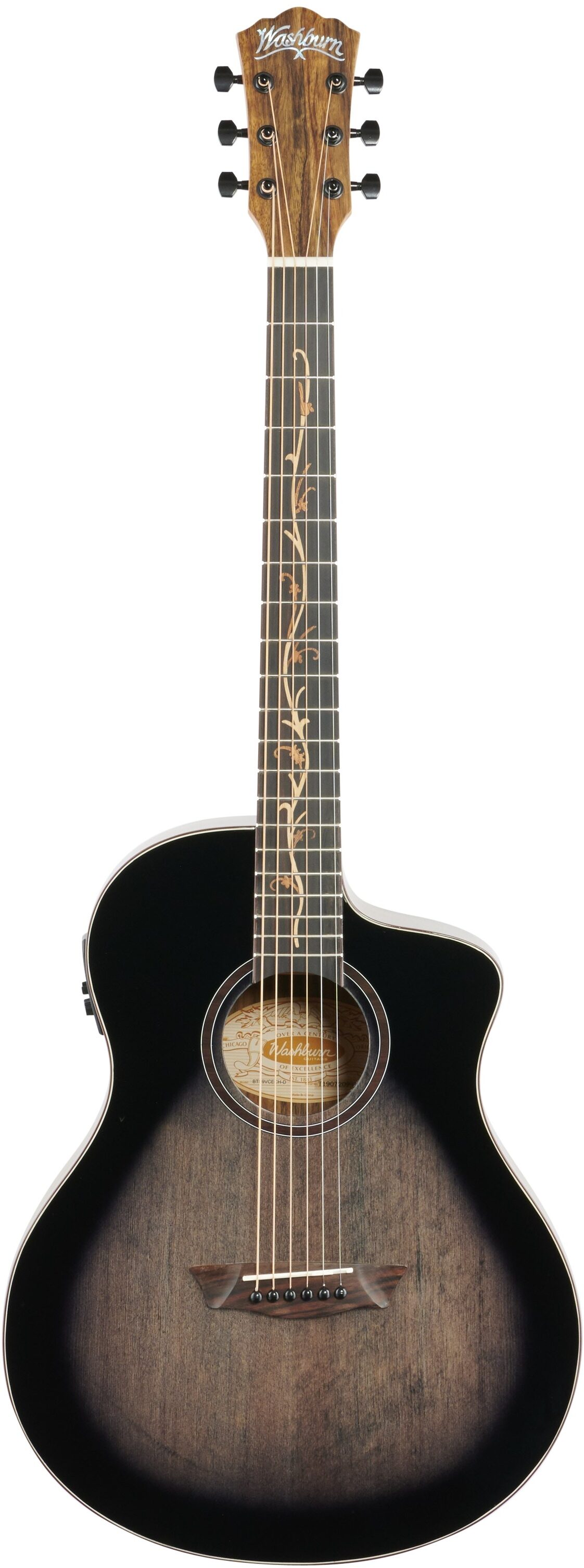 Washburn Bella Tono Vite S9V Acoustic-Electric Guitar 2 Washburn Bella Tono Vite S9V Acoustic-Electric Guitar