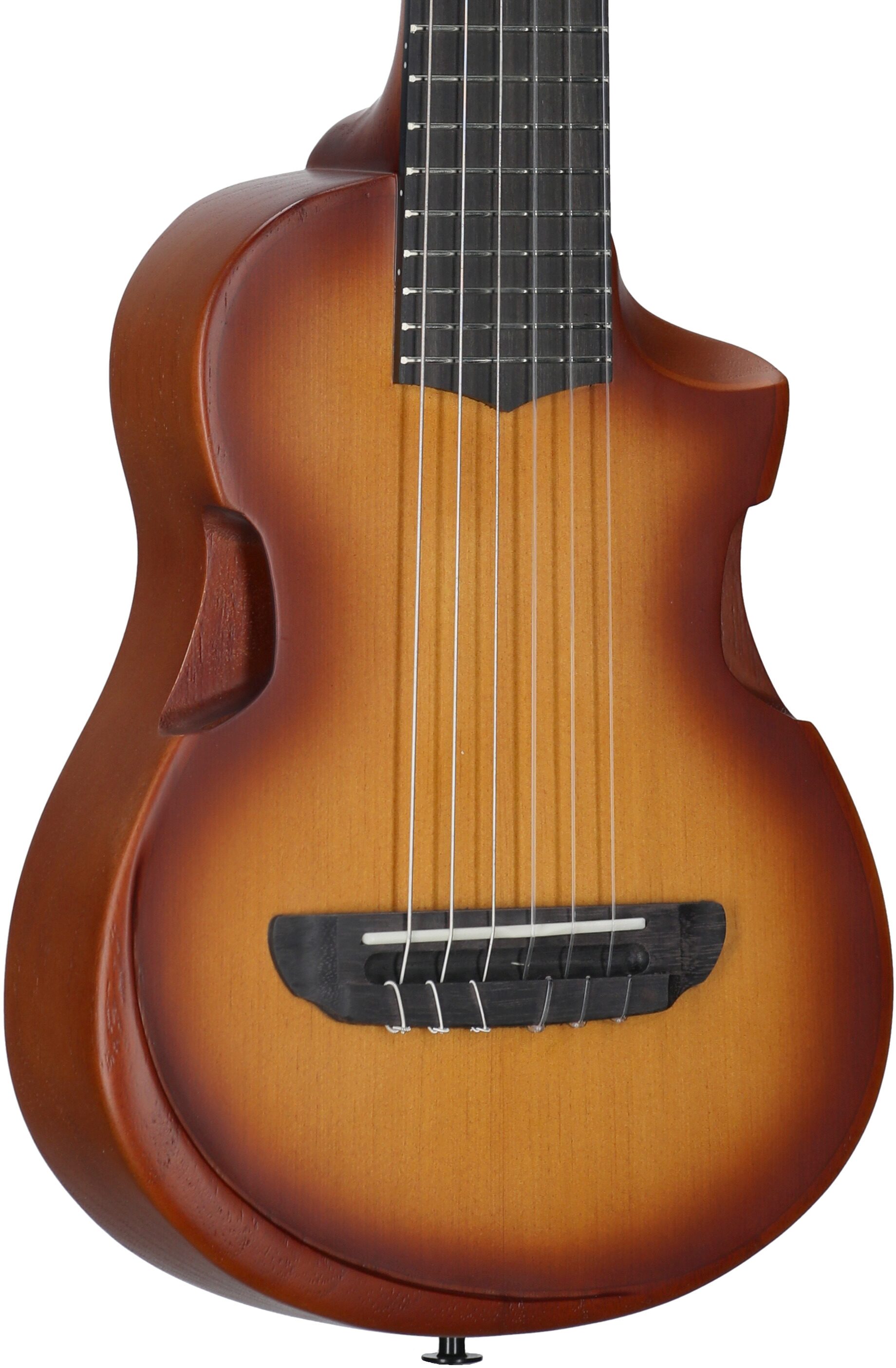 Ibanez AUP10N Tenor Ukulele (with Gig Bag)