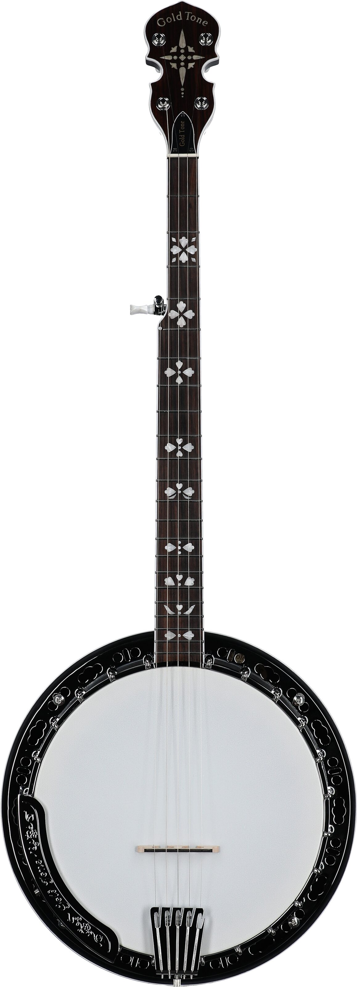 Gold Tone BG-150F Bluegrass Banjo with Flange (and Gig Bag) 2 Gold Tone BG-150F Bluegrass Banjo with Flange (and Gig Bag)