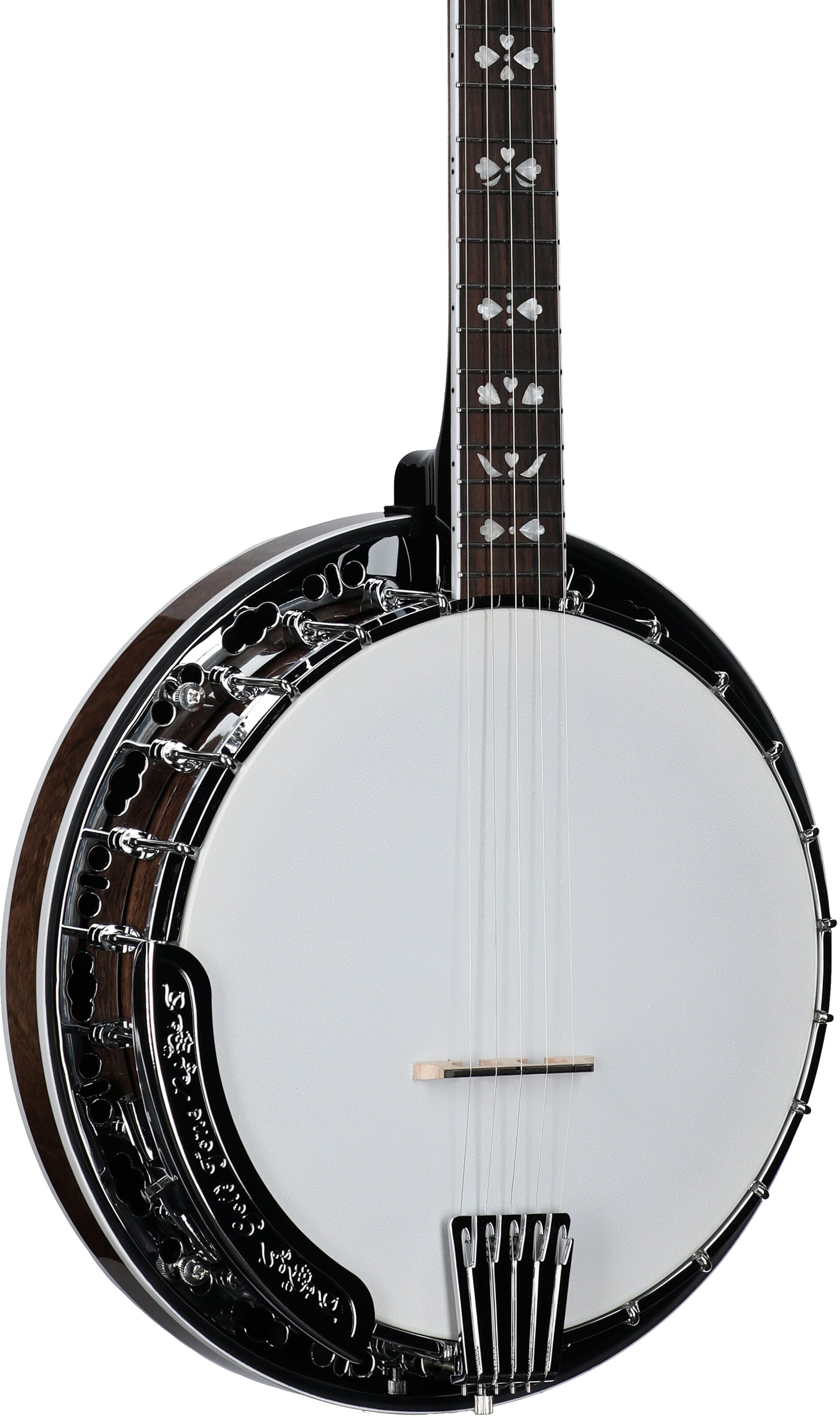 Gold Tone BG-150F Bluegrass Banjo with Flange (and Gig Bag) 3 Gold Tone BG-150F Bluegrass Banjo with Flange (and Gig Bag)