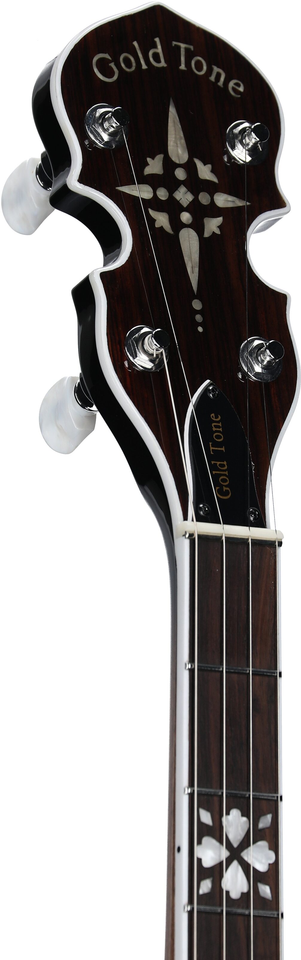 Gold Tone BG-150F Bluegrass Banjo with Flange (and Gig Bag) 5 Gold Tone BG-150F Bluegrass Banjo with Flange (and Gig Bag)