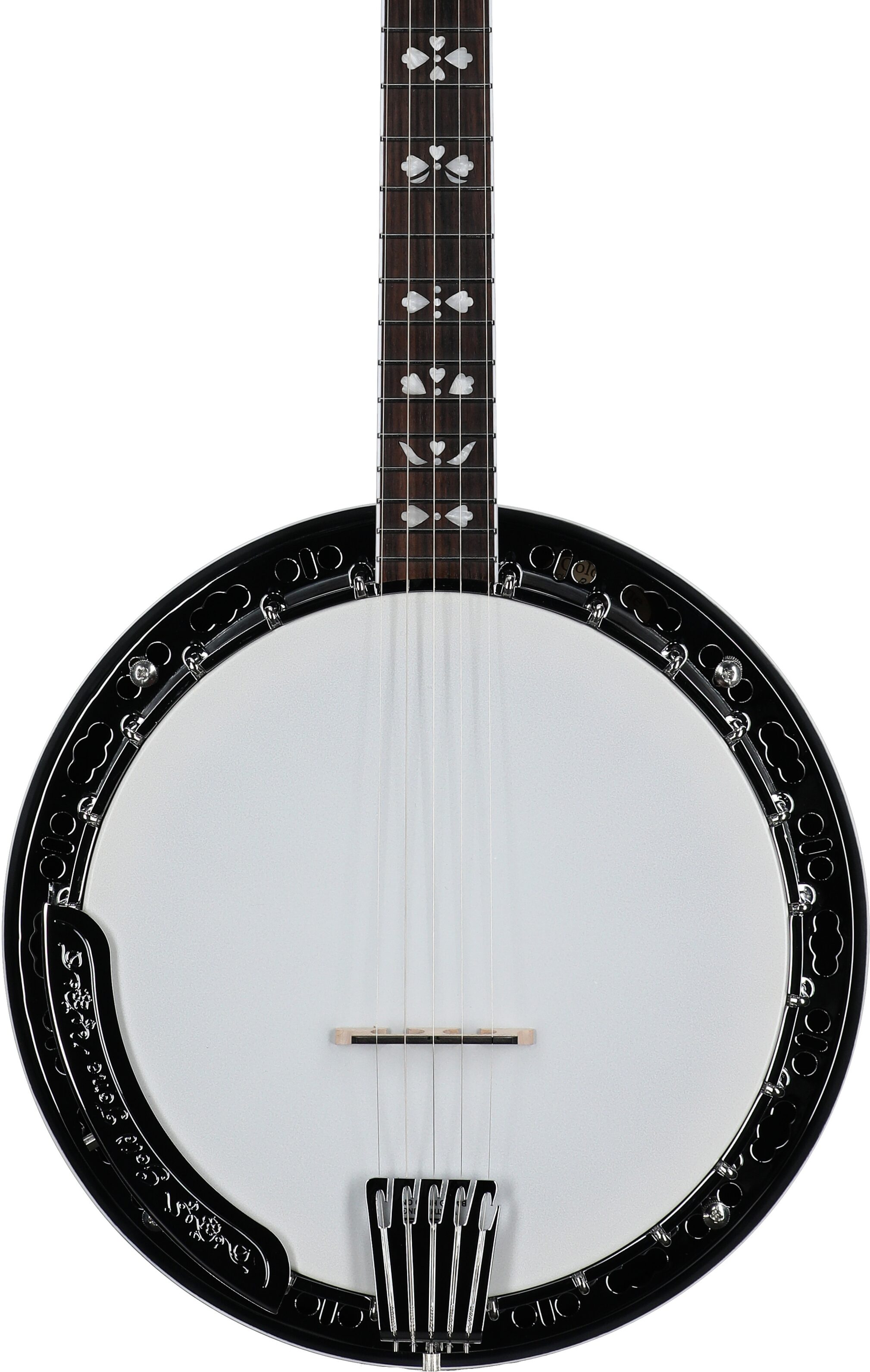 Gold Tone BG-150F Bluegrass Banjo with Flange (and Gig Bag)