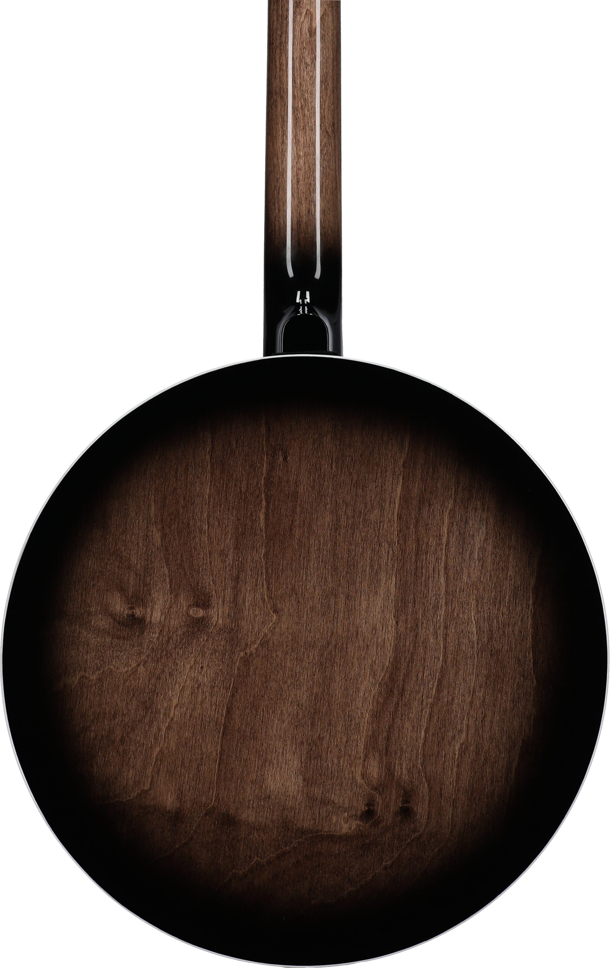 Gold Tone BG-150F Bluegrass Banjo with Flange (and Gig Bag) 7 Gold Tone BG-150F Bluegrass Banjo with Flange (and Gig Bag)