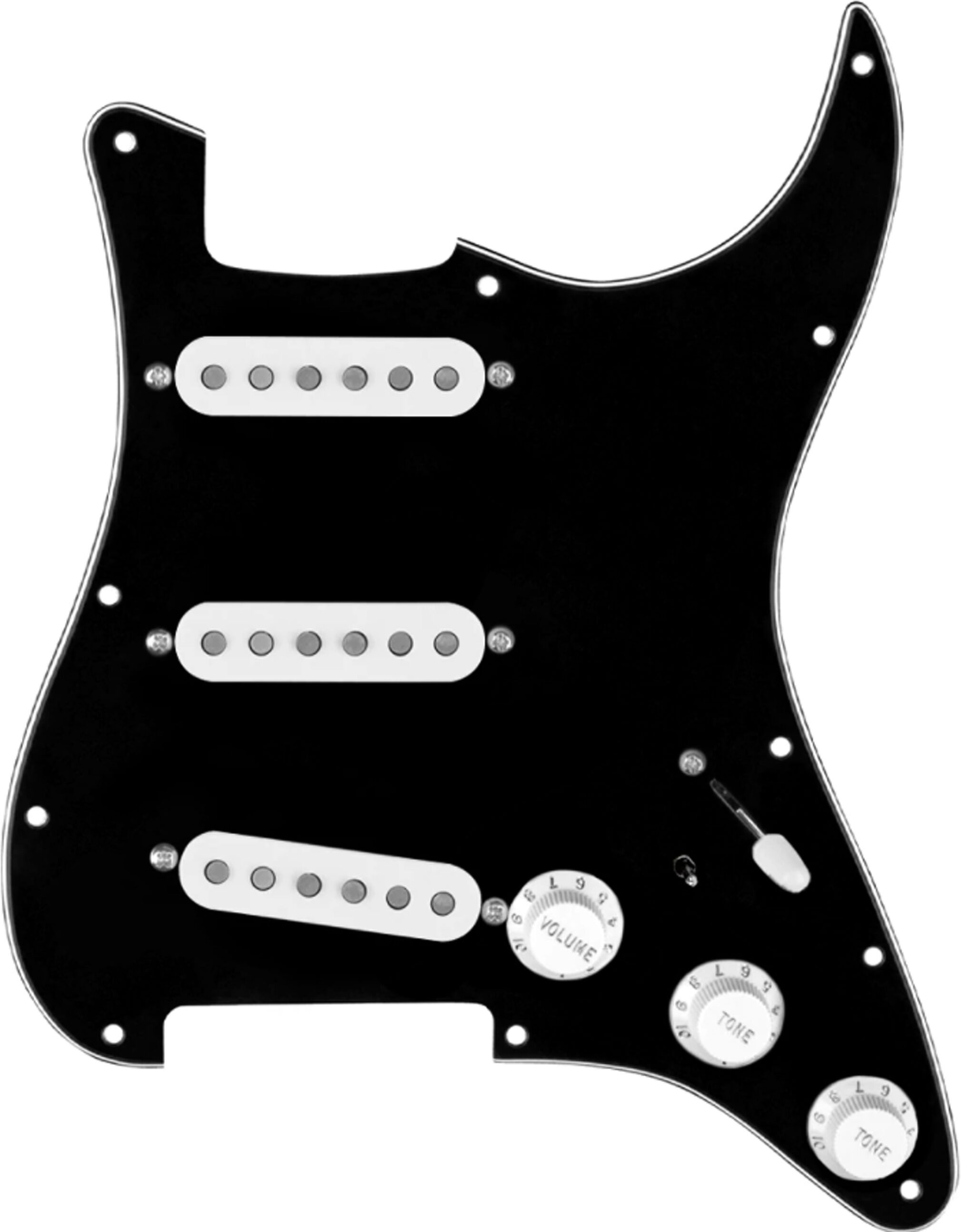 920D Custom DG Stratocaster Loaded Pickguard