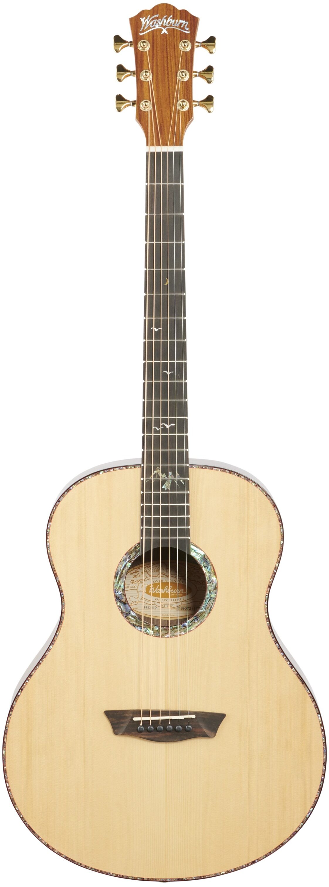Washburn Bella Tono Elegante S24S Acoustic Guitar 2 Washburn Bella Tono Elegante S24S Acoustic Guitar