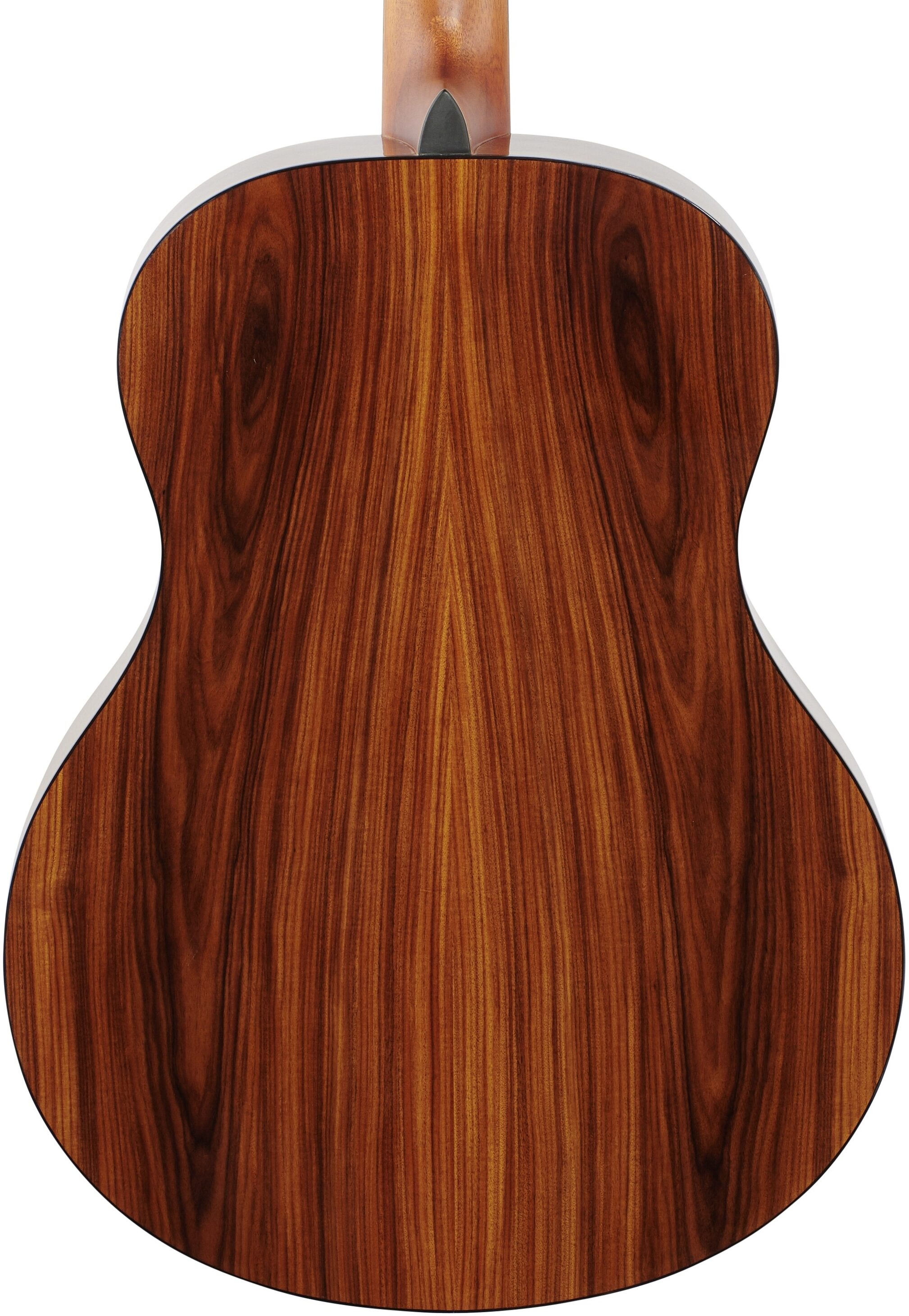 Washburn Bella Tono Elegante S24S Acoustic Guitar 7 Washburn Bella Tono Elegante S24S Acoustic Guitar