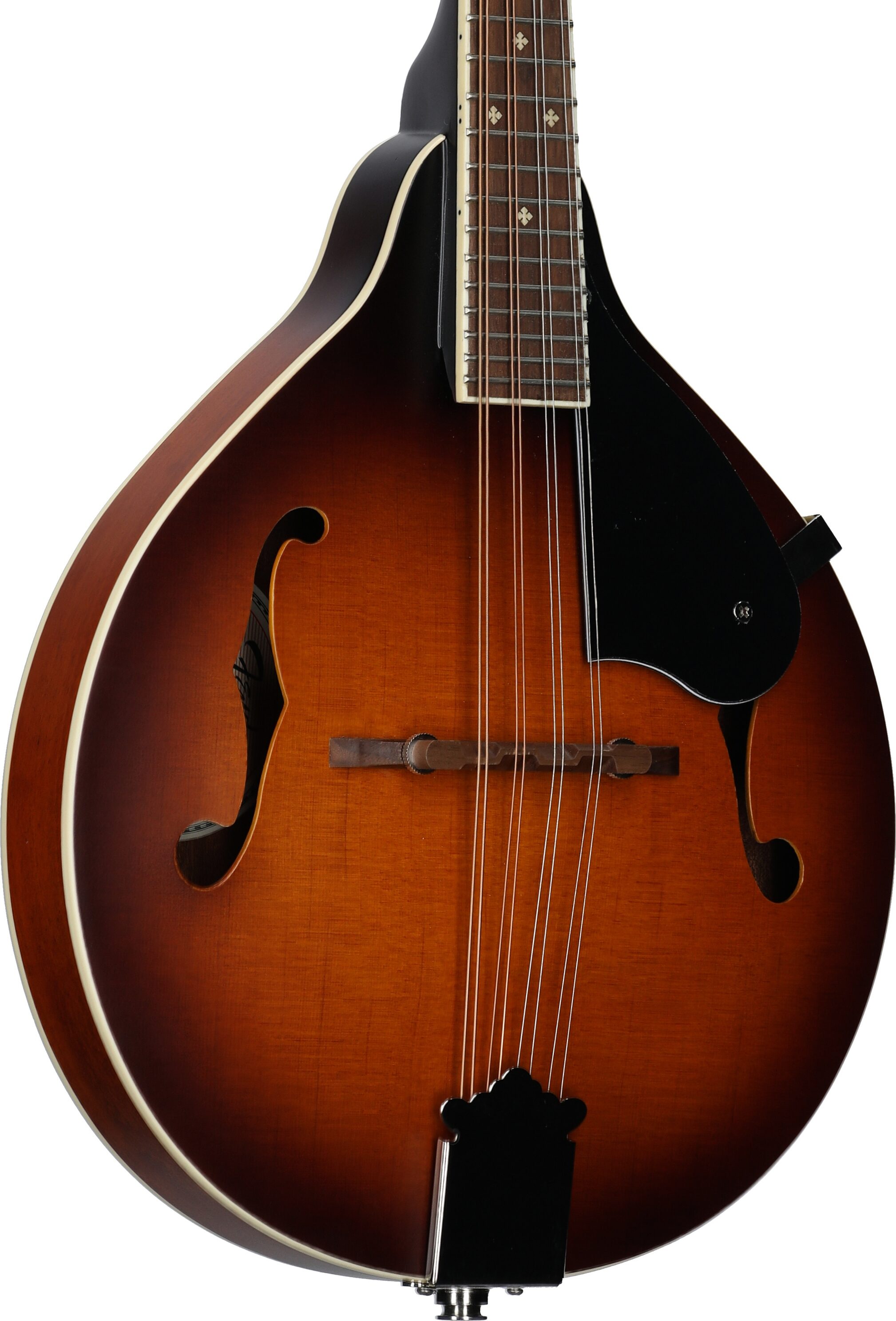 Fender Paramount PM180E Acoustic-Electric Mandolin (with Gig Bag)