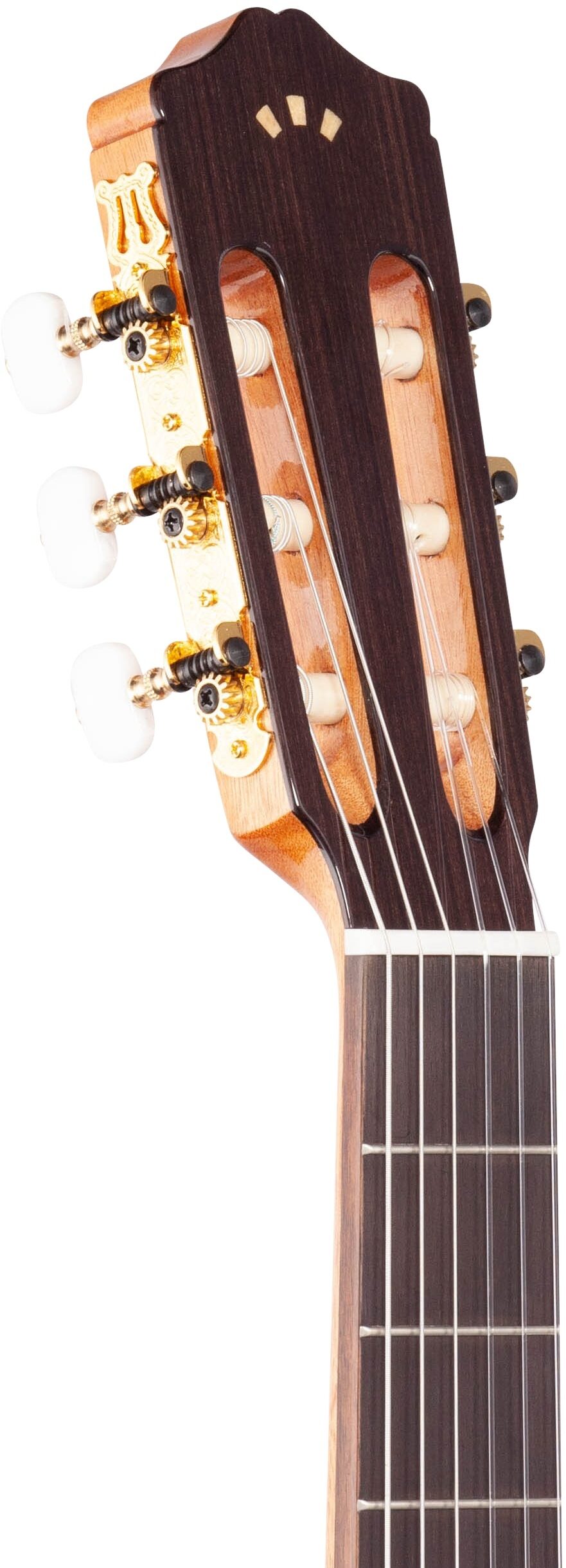 Cordoba C5 Spruce Top Nylon-String Classical Acoustic Guitar 4 Cordoba C5 Spruce Top Nylon-String Classical Acoustic Guitar