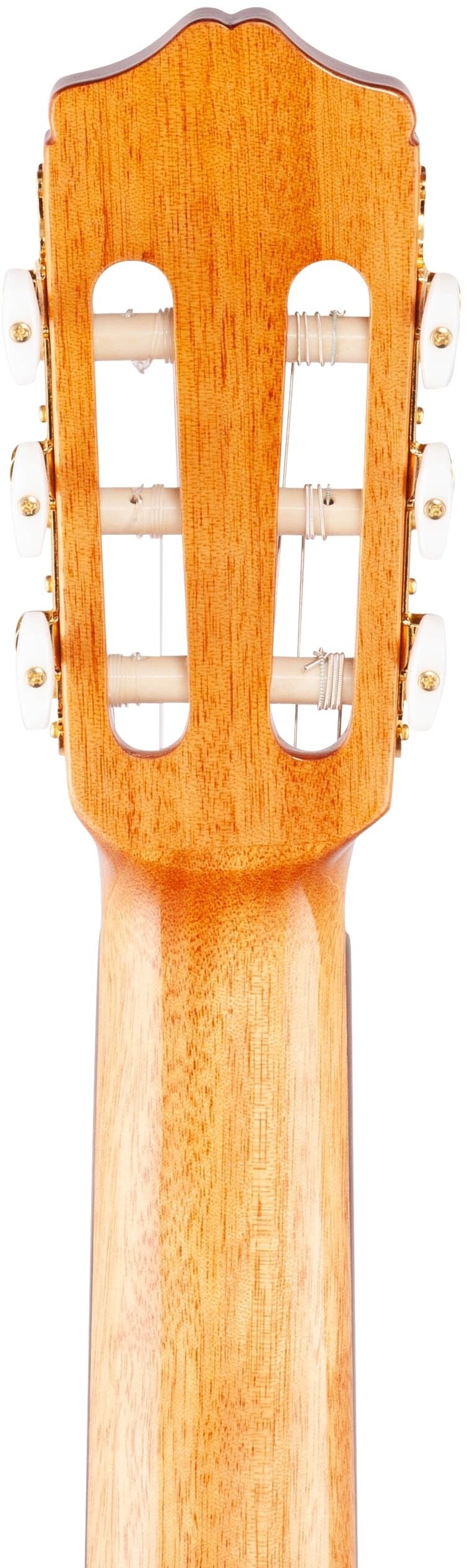 Cordoba C5 Spruce Top Nylon-String Classical Acoustic Guitar 8 Cordoba C5 Spruce Top Nylon-String Classical Acoustic Guitar