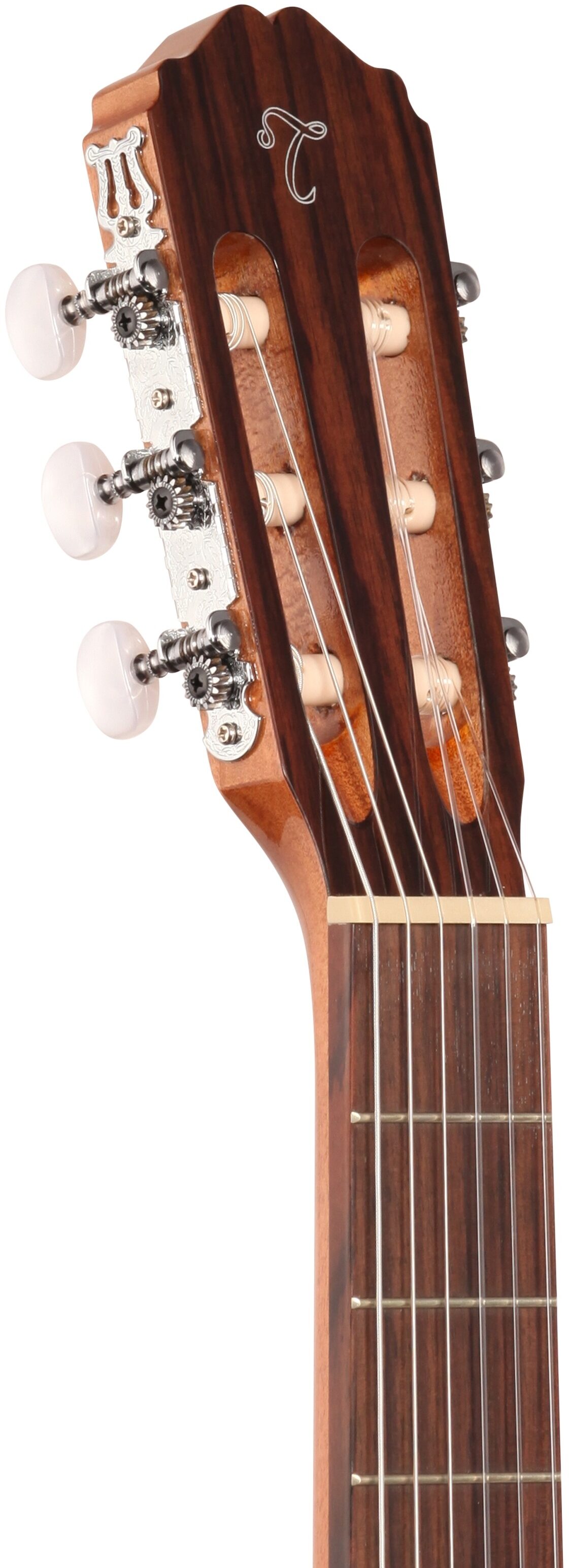 Takamine GC1 Classical Acoustic Guitar 4 Takamine GC1 Classical Acoustic Guitar