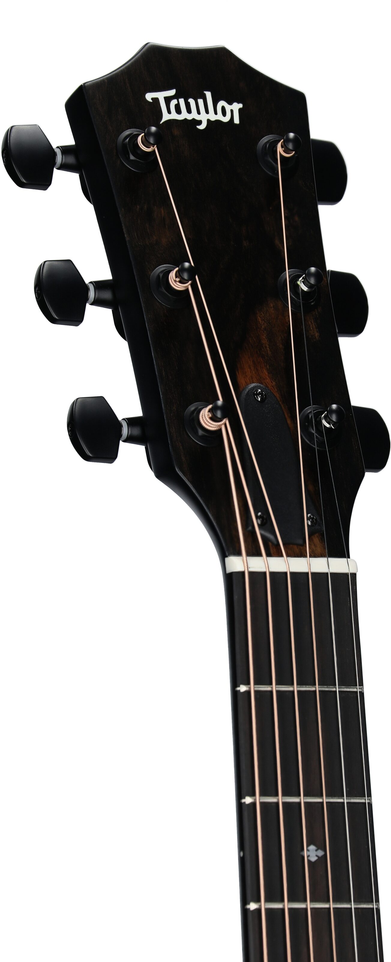 Taylor 214ce-SE Grand Auditorium Acoustic-Electric Guitar (with AeroCase) 4 Taylor 214ce-SE Grand Auditorium Acoustic-Electric Guitar (with AeroCase)