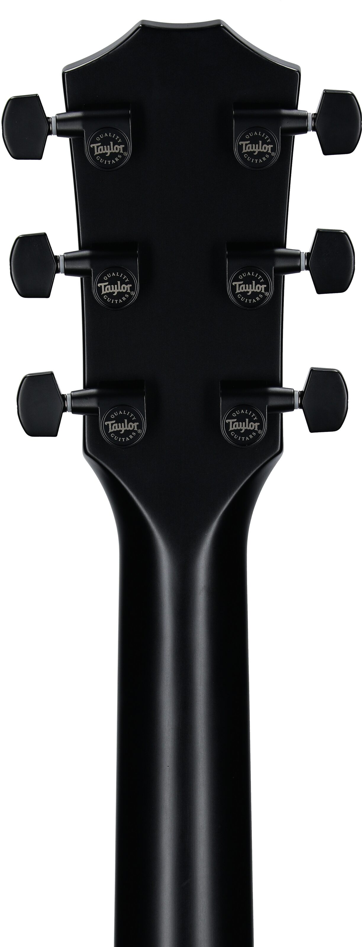 Taylor 214ce-SE Grand Auditorium Acoustic-Electric Guitar (with AeroCase) 8 Taylor 214ce-SE Grand Auditorium Acoustic-Electric Guitar (with AeroCase)