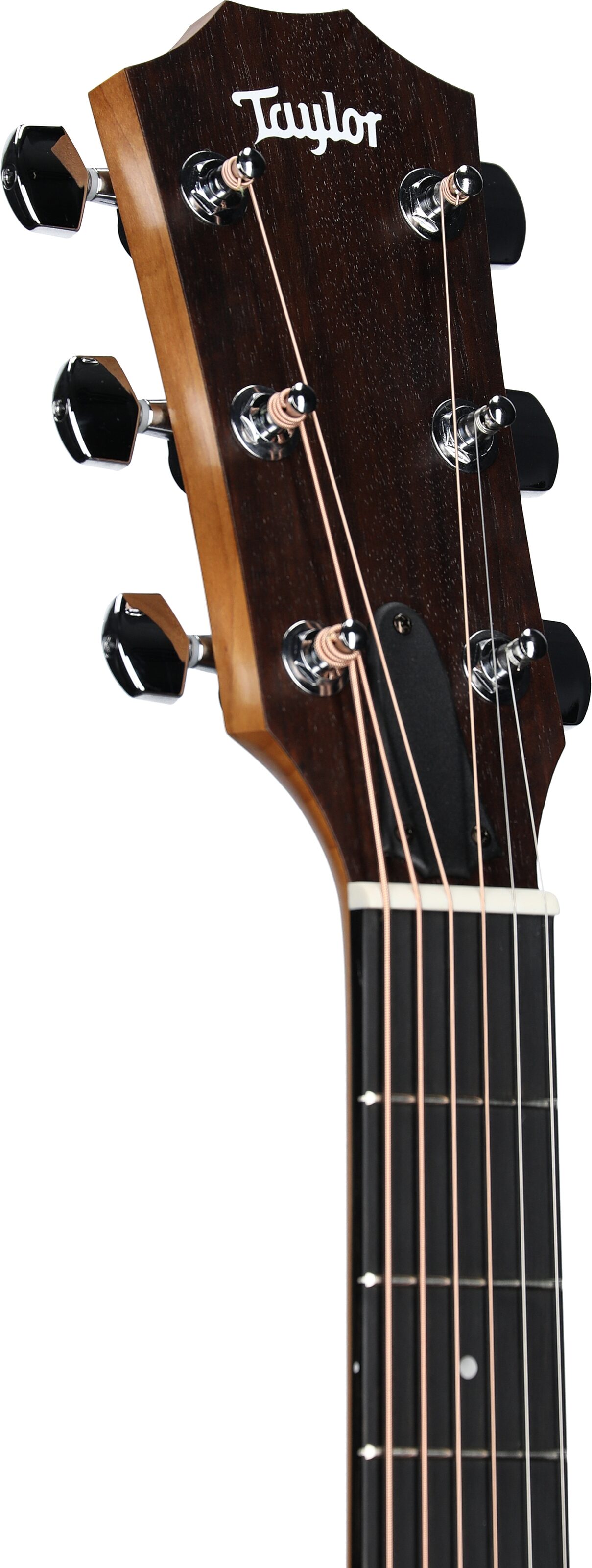 Taylor Academy 12e-v2 Grand Concert Acoustic-Electric Guitar (with Gig Bag) 4 Taylor Academy 12e-v2 Grand Concert Acoustic-Electric Guitar (with Gig Bag)