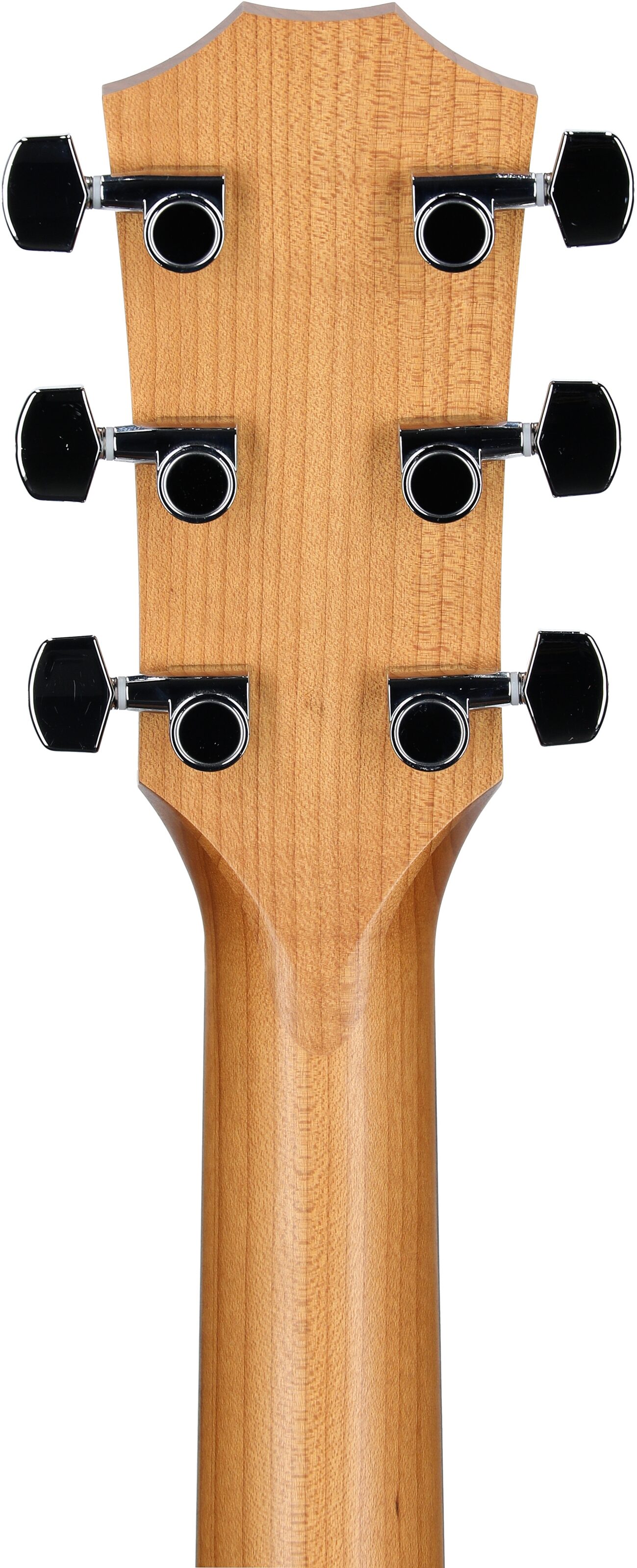 Taylor Academy 12e-v2 Grand Concert Acoustic-Electric Guitar (with Gig Bag) 8 Taylor Academy 12e-v2 Grand Concert Acoustic-Electric Guitar (with Gig Bag)