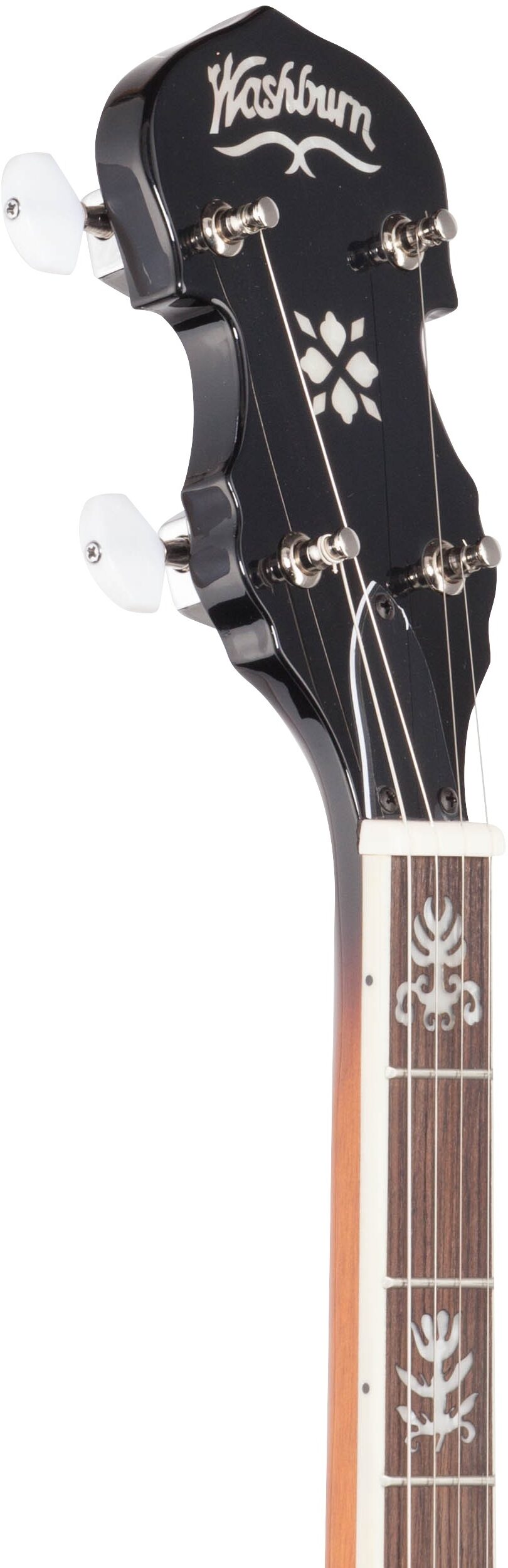 Washburn B10 Banjo 5 Washburn B10 Banjo