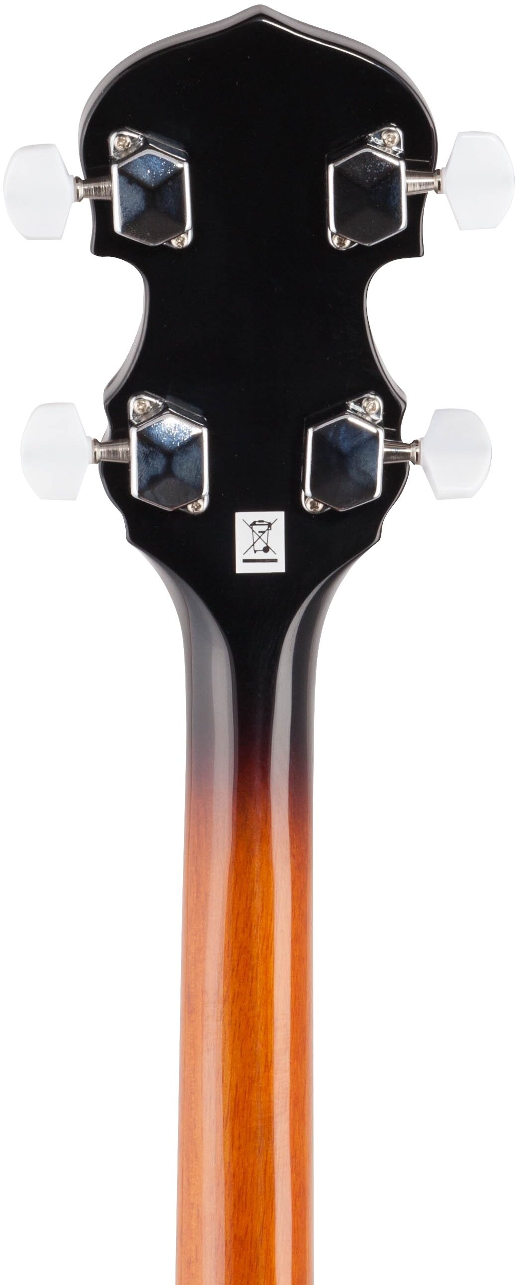 Washburn B10 Banjo 8 Washburn B10 Banjo