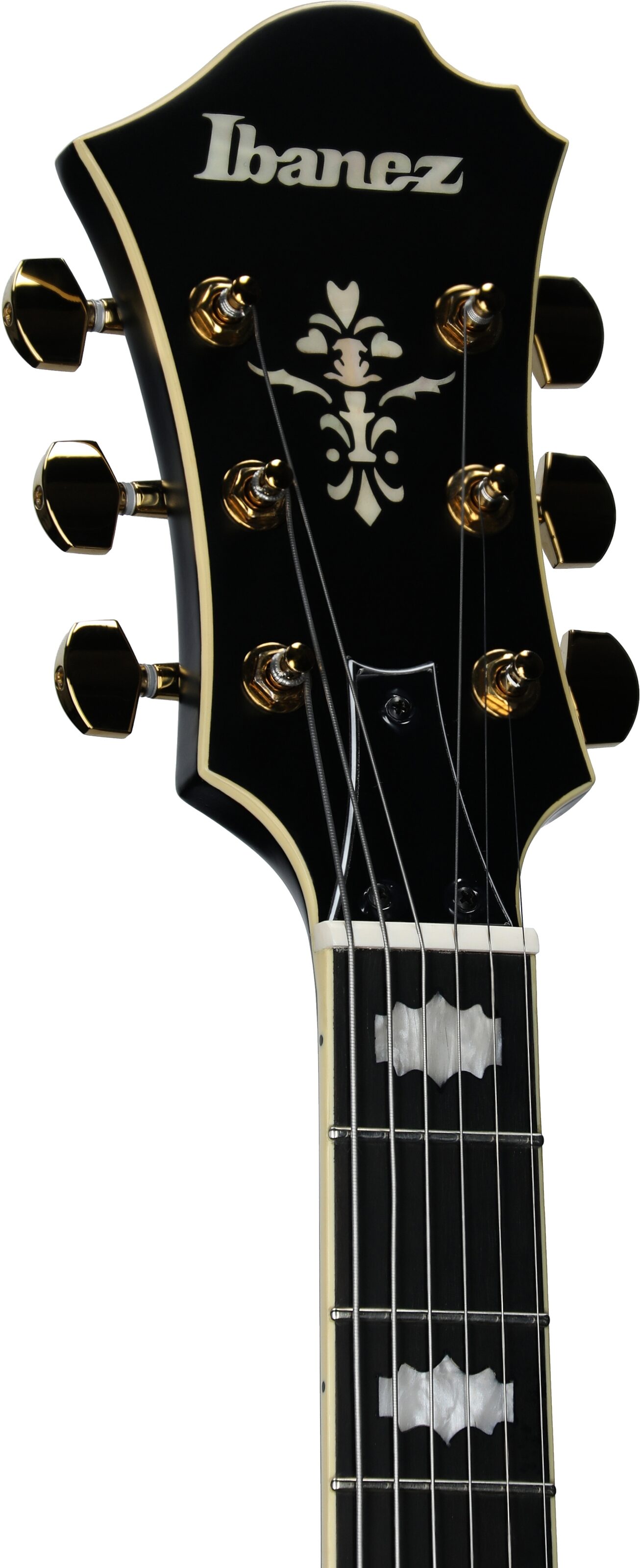 Ibanez PM3C Pat Metheny Electric Guitar (with Case) 4 Ibanez PM3C Pat Metheny Electric Guitar (with Case)