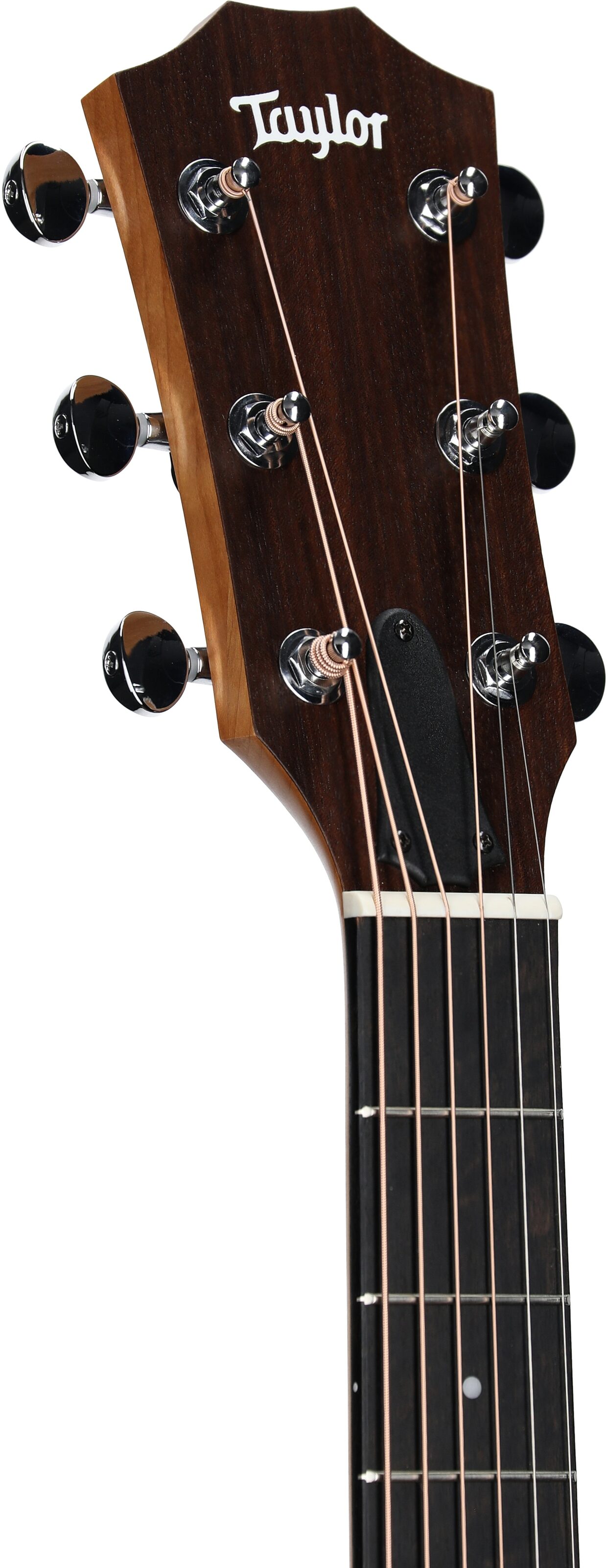 Taylor 24ce Grand Auditorium Acoustic-Electric Guitar 4 Taylor 24ce Grand Auditorium Acoustic-Electric Guitar