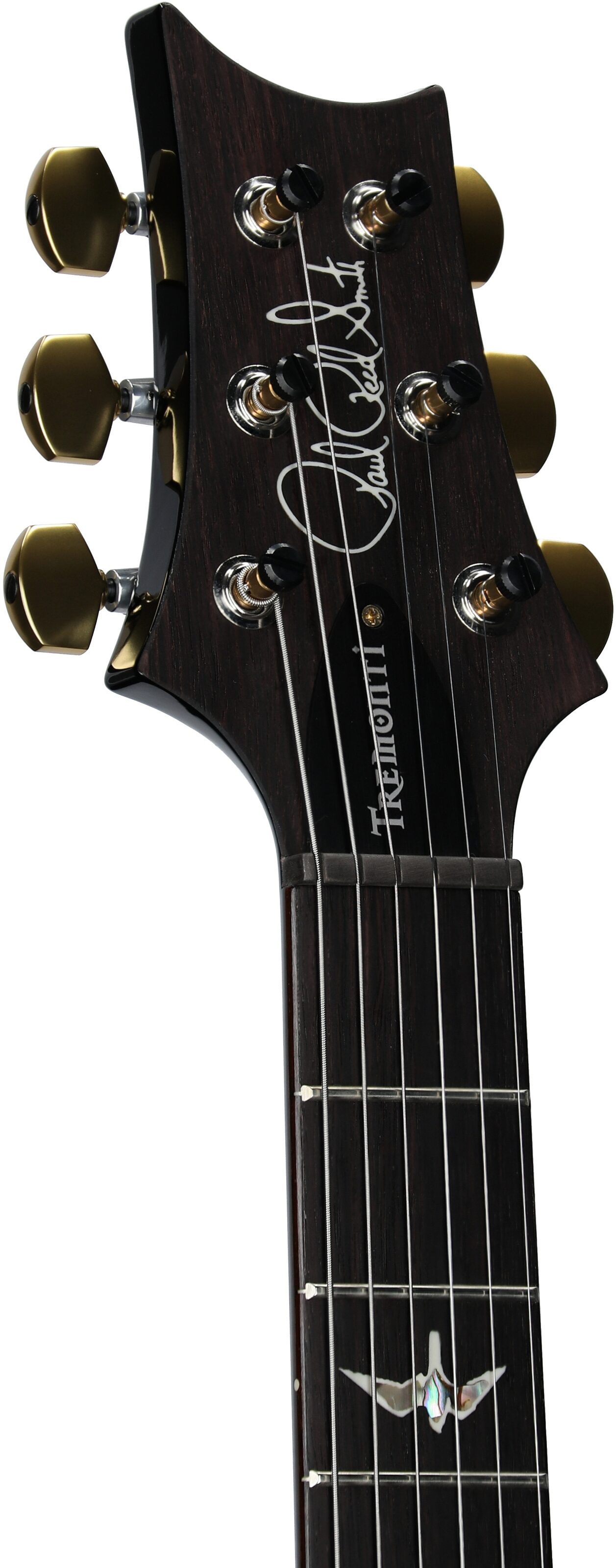 PRS Paul Reed Smith Tremonti Tremolo 10-Top Electric Guitar (with Case) 5 PRS Paul Reed Smith Tremonti Tremolo 10-Top Electric Guitar (with Case)