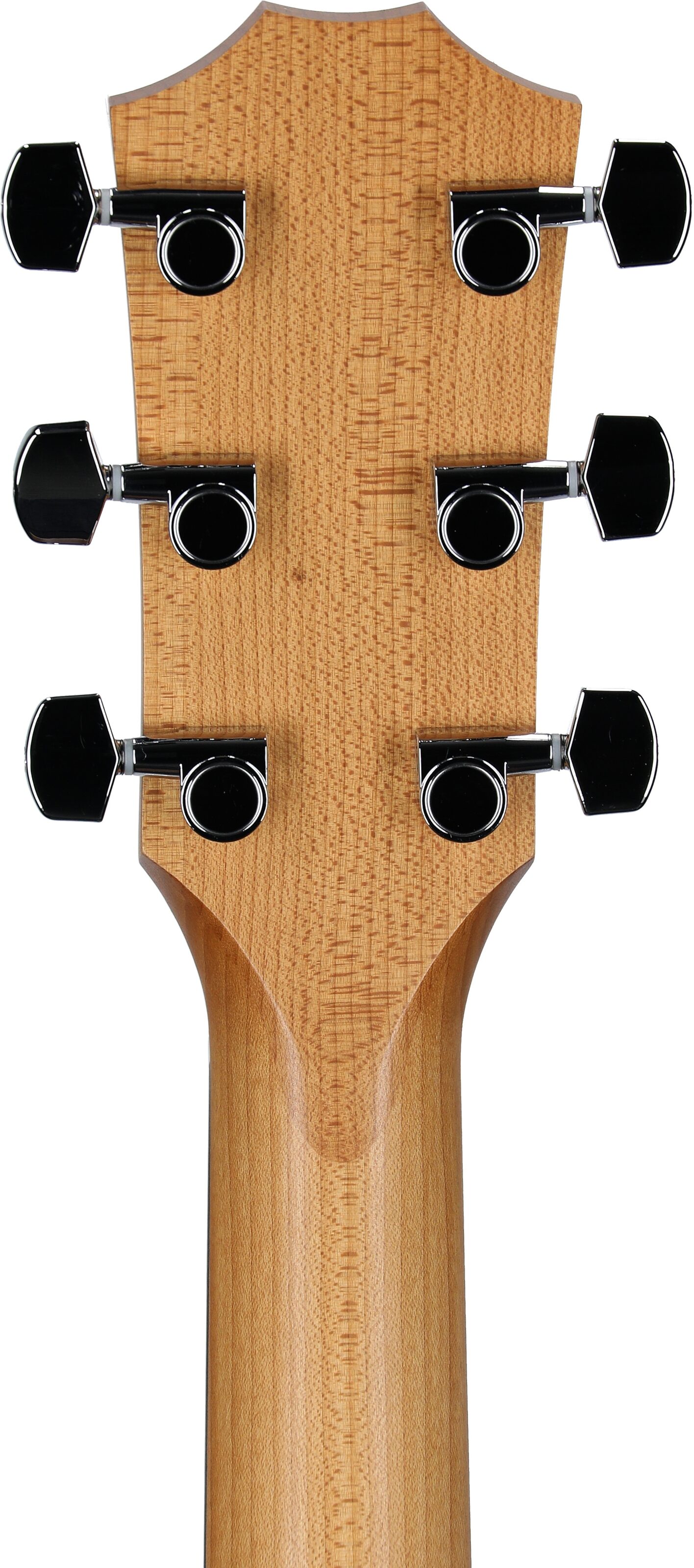 Taylor Academy 10 Dreadnought Acoustic Guitar 8 Taylor Academy 10 Dreadnought Acoustic Guitar
