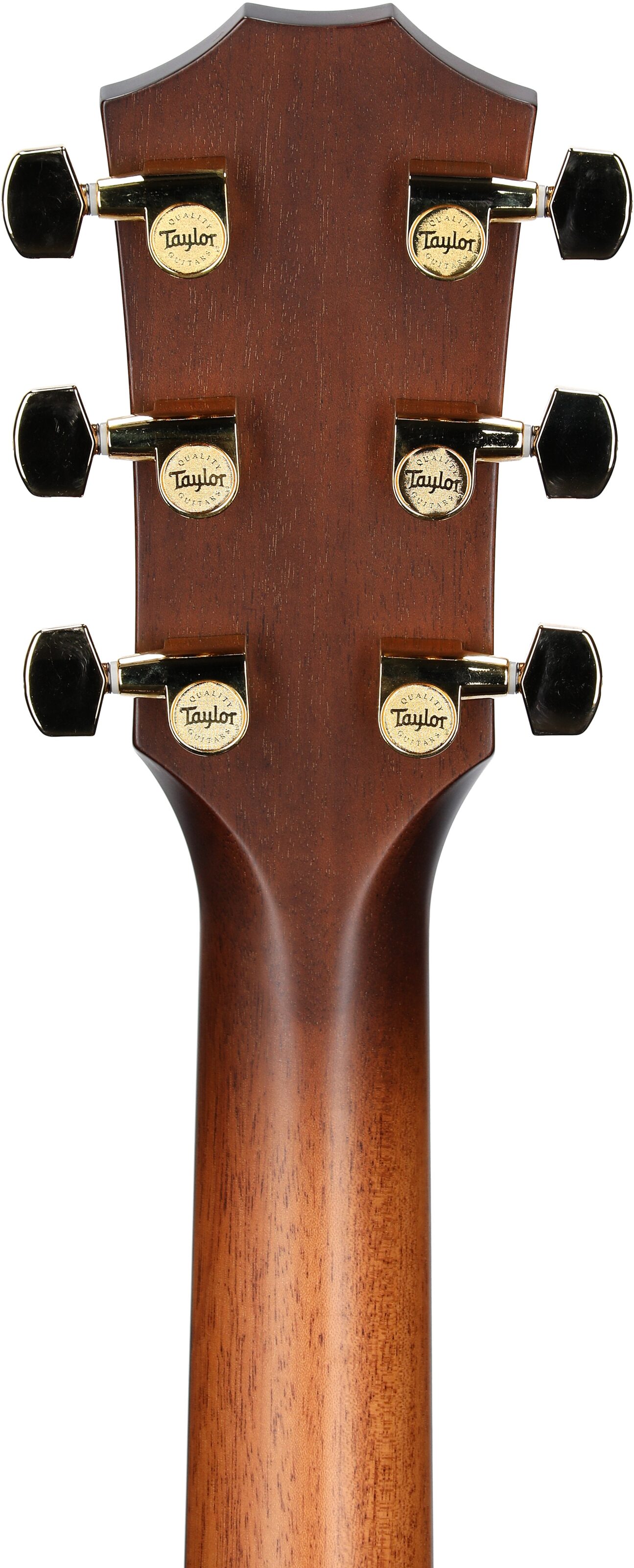 Taylor 50th Anniversary 314ce Limited Edition Acoustic-Electric Guitar (with Case) 8 Taylor 50th Anniversary 314ce Limited Edition Acoustic-Electric Guitar (with Case)