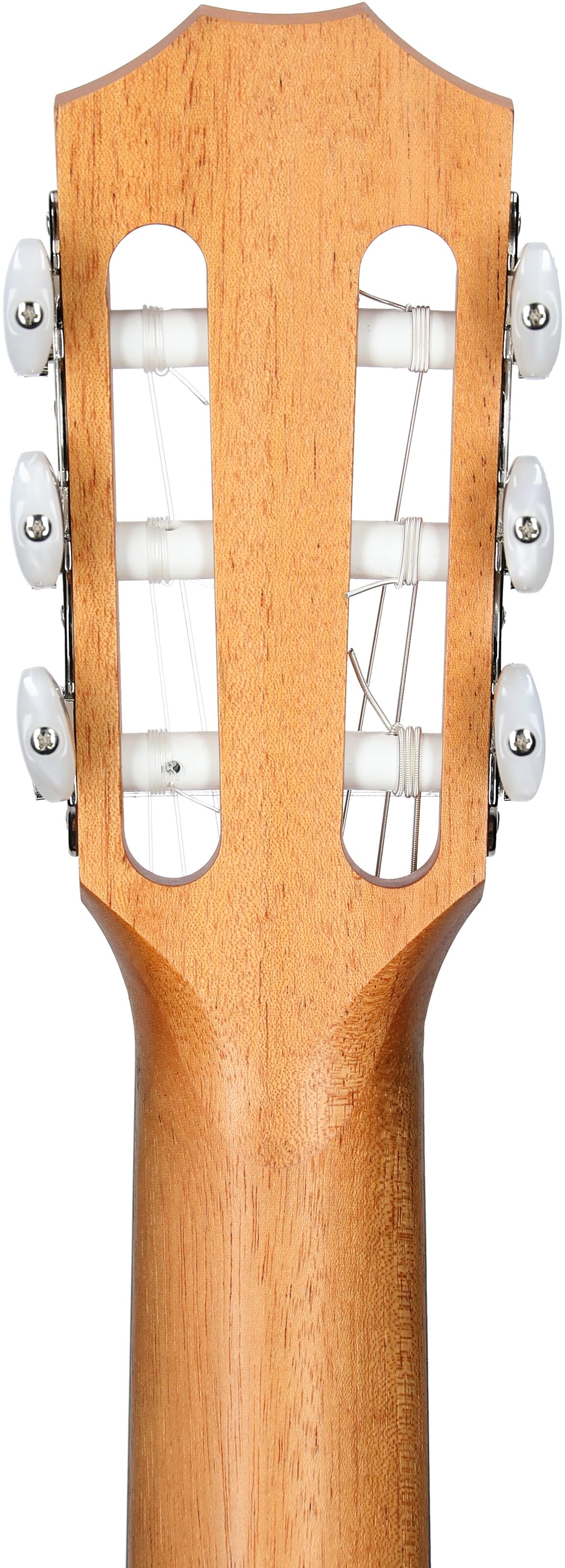 Taylor Academy 12e-N Grand Concert Classical Acoustic-Electric Guitar (with Gig Bag) 8 Taylor Academy 12e-N Grand Concert Classical Acoustic-Electric Guitar (with Gig Bag)