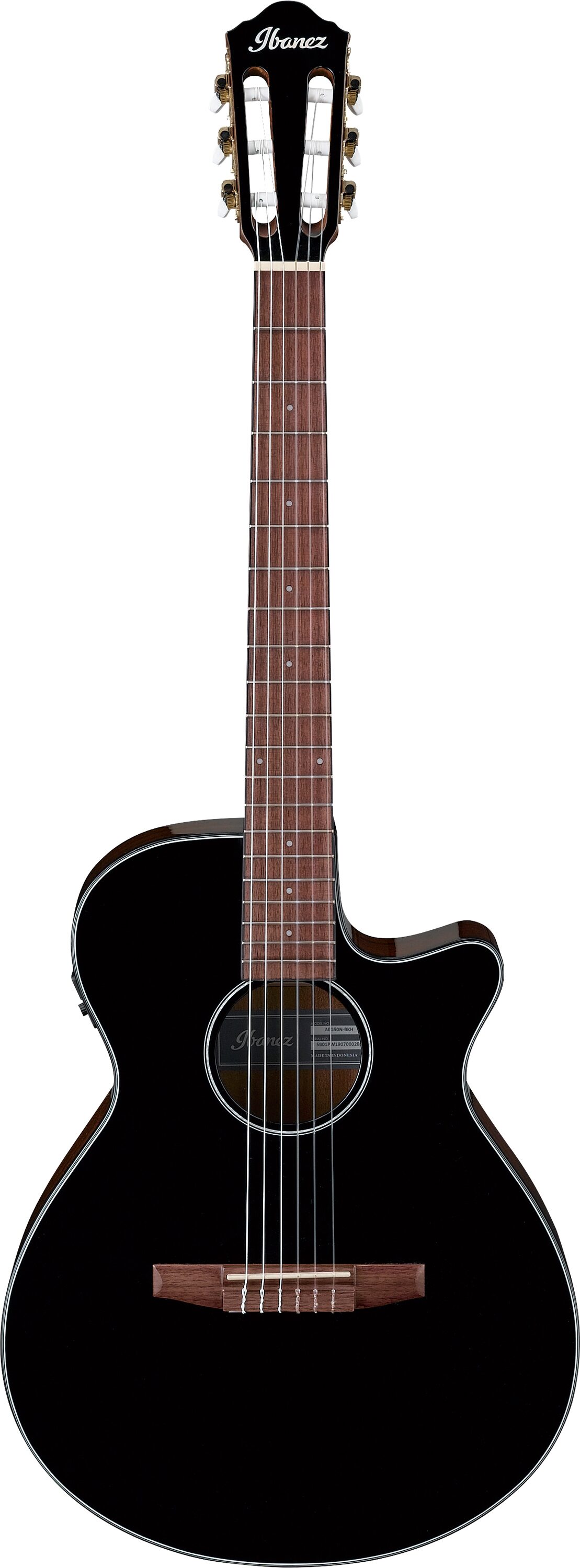 Ibanez AEG50N Acoustic-Electric Classical Guitar