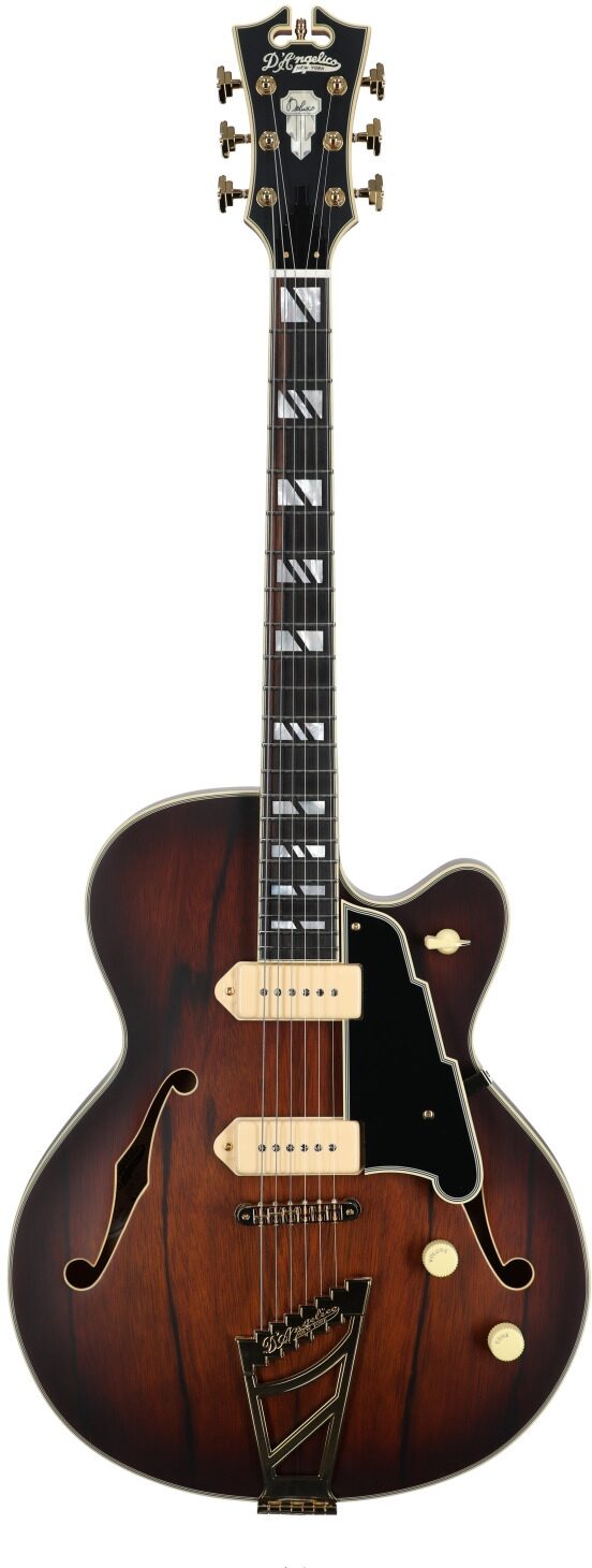 D'Angelico Deluxe 59 Hollowbody Electric Guitar 2 D'Angelico Deluxe 59 Hollowbody Electric Guitar