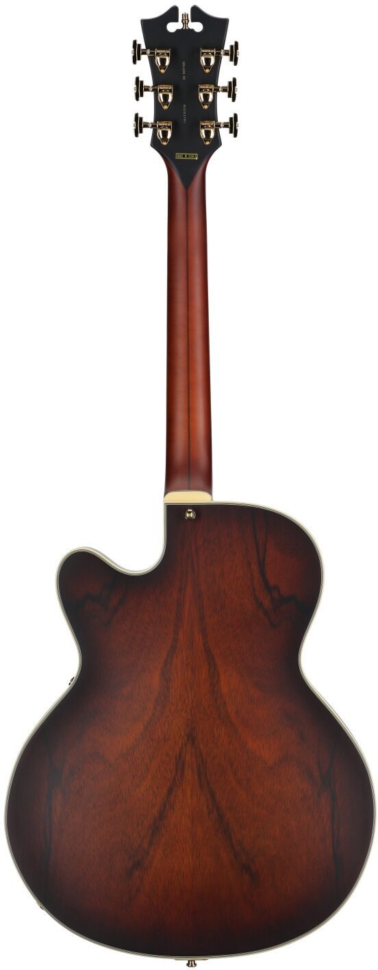 D'Angelico Deluxe 59 Hollowbody Electric Guitar 3 D'Angelico Deluxe 59 Hollowbody Electric Guitar
